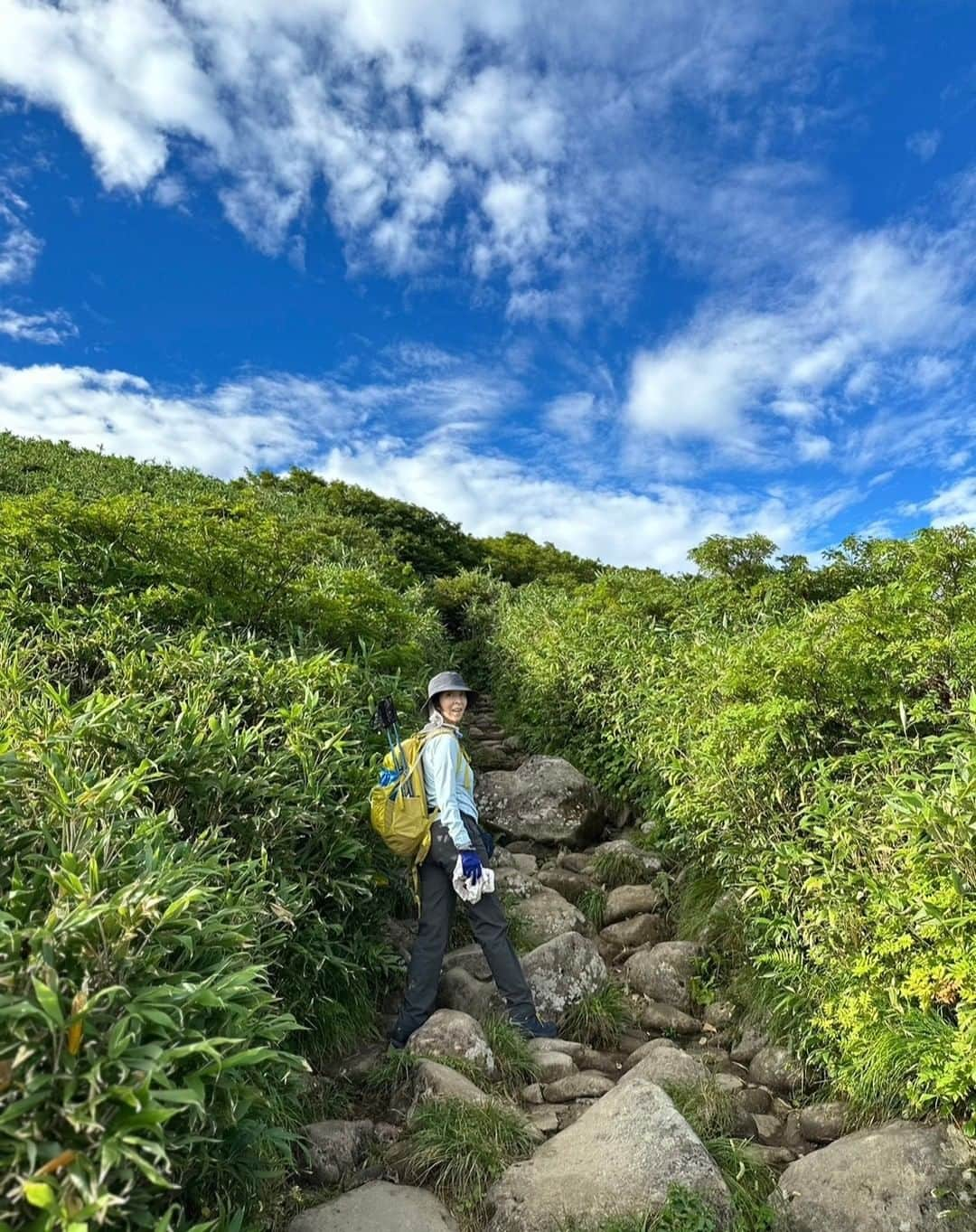 真矢みきさんのインスタグラム写真 - (真矢みきInstagram)「登山にはまっています  先日は父の故郷山形に行ってきました 羽黒山2446段の階段は途中苦行を感じますが 芭蕉も訪ねたであろう奥の細道に誘われ 有り難く登頂し参拝させていただきました  そして翌日は月山、  俯瞰ではなだらかな山と拝めたのだけど、 数分登ればそこはジュラ紀⁉と思うほどの険しい石と傾斜の連続でした  こりゃ人生そのものだ  しかし山頂付近では地上では見ることができない色合いの花々や昆虫たち  蜻蛉の群れに見守られながら一歩一歩登って行けば カメムシだってネイリストおすすめの秋のデザインみたいな色合い  無心になる  今の私には少しスケジュールを無理してでも必要としているみたいです  身体だけではなく心も鍛えられ整う日々  登山、 あんなに苦しかったのに、 今、次なる山に心抱いています  はい、ハマっているとはこういうことなのかと  登山て不思議ですね  素敵な一日を  Maya  #登山」9月10日 16時10分 - mikimayaofficial