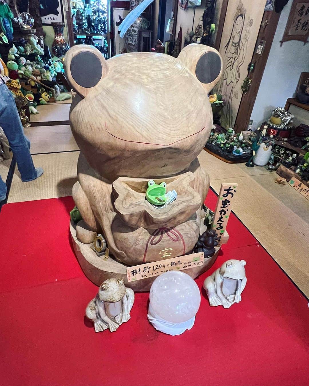 山田稔明さんのインスタグラム写真 - (山田稔明Instagram)「如意輪寺は別名かえる寺として知られ、なかなかの味わいが、ある。「初心にかえる」「若がえる」「さかえる」「無事かえる」。これから東京に帰ります。 #猫町旅日記」9月10日 16時10分 - toshiakiyamada