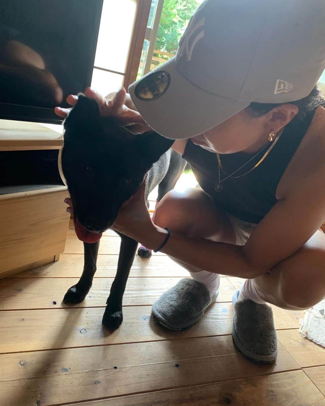 浅井悠由のインスタグラム：「イッヌ大好き🖤大型犬がラブリーです🫶🏽」