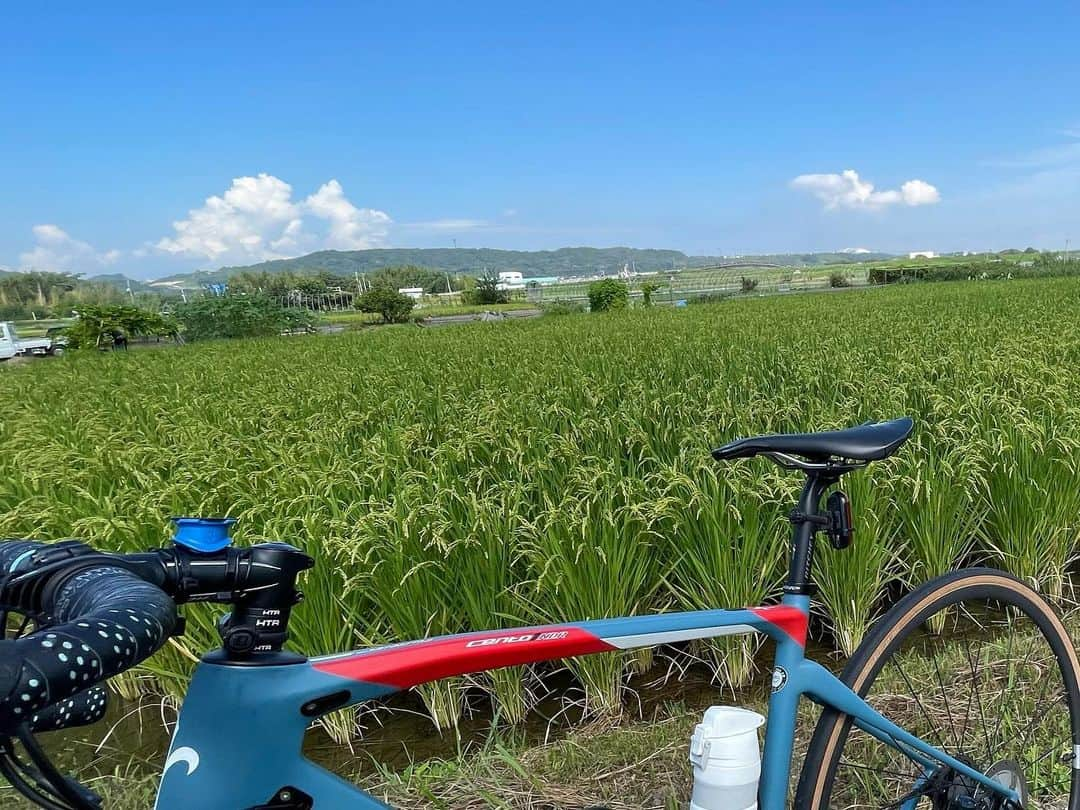 小笠原正典のインスタグラム