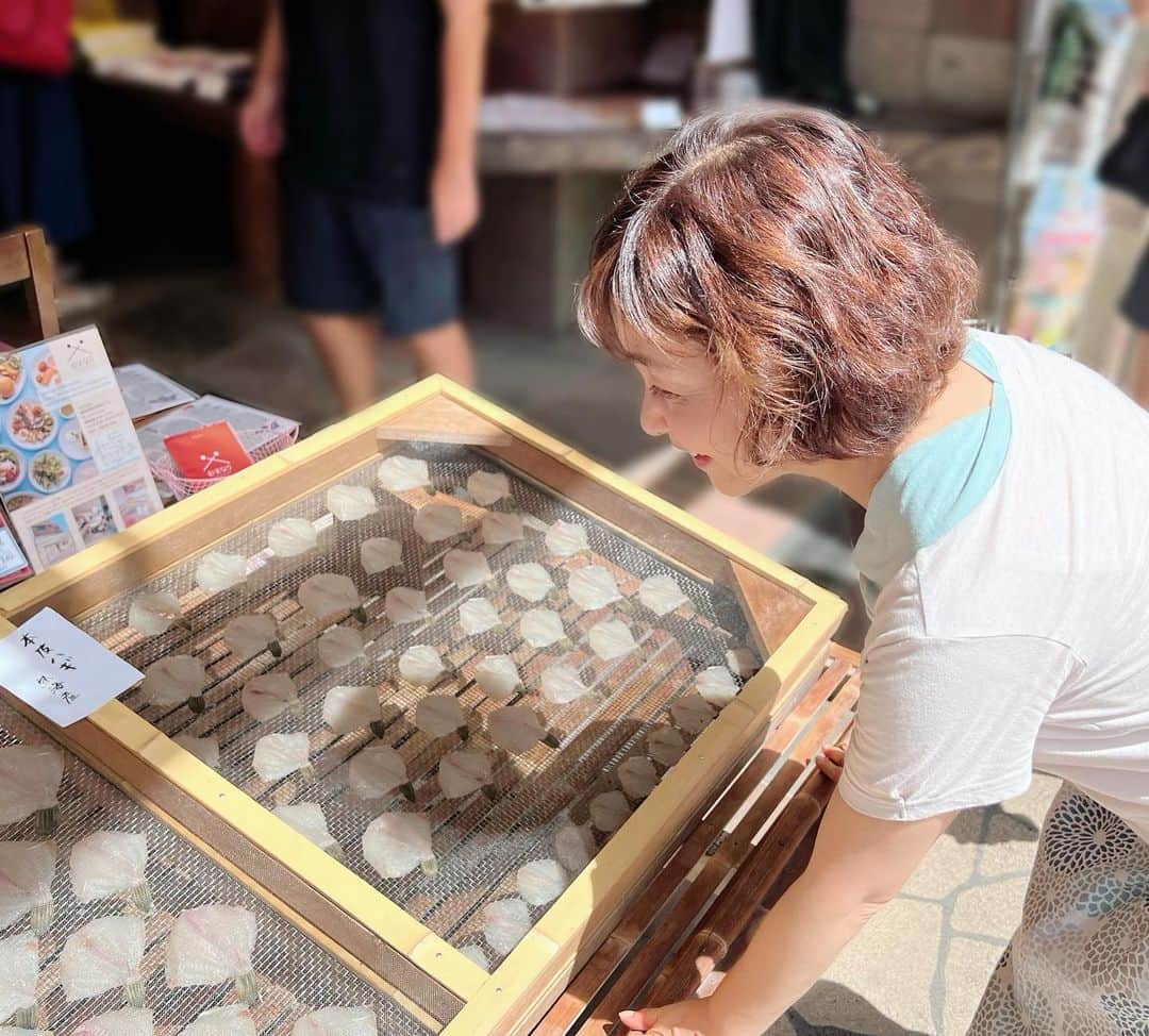 日髙のり子さんのインスタグラム写真 - (日髙のり子Instagram)「🌊 遅ればせながら、#夏休み のプチプチ旅行✨✨ #熱海 に行って来ました〜♪ ⁡ 海があって🏝️ 山があって⛰️ 温泉があって♨️ 好きなものがいっぱい🙌 しかも！東京から激近🤏 思い立ったらピューッとすぐに行けちゃいます🚄 最高ですね〜✨✨✨ ⁡ 今回は特に観光はせず、お宿でゆっくり🌳 窓から見える緑いっぱいの景色に癒されました🌳🌳🌳 ⁡ ゆっくりしたい、自然を感じたい…という希望が叶って、良き癒しの旅となりました〜♨️✨」9月10日 16時21分 - nonko_hidaka531