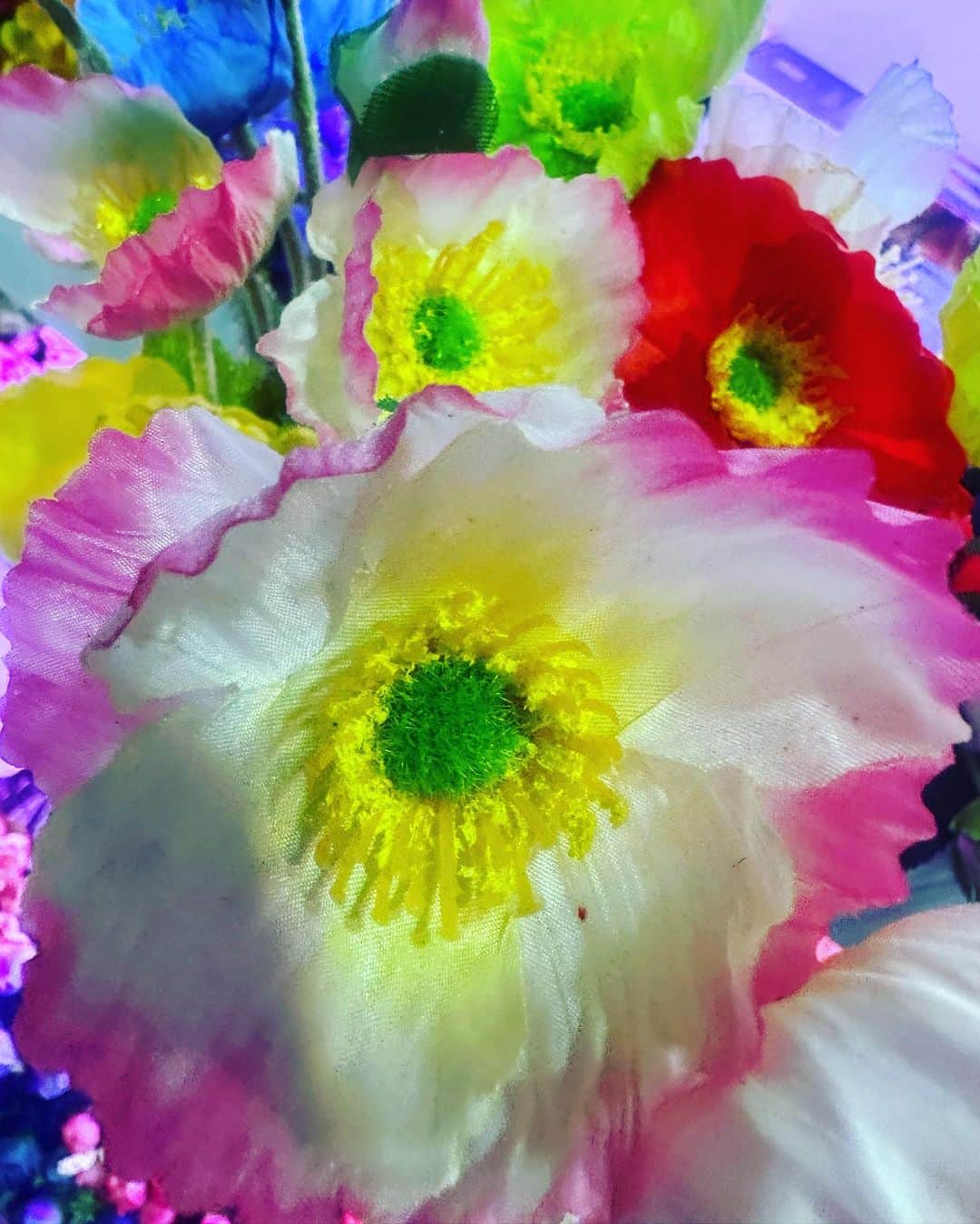 蜷川実花さんのインスタグラム写真 - (蜷川実花Instagram)「台北へ❤️ フラワーマーケットでお買い物。 造花をしいれました🌹 湿度がすごくて，スチームサウナにいるよう。久しぶりの台湾はやっぱり楽しいなぁ #台北」9月10日 16時56分 - ninagawamika
