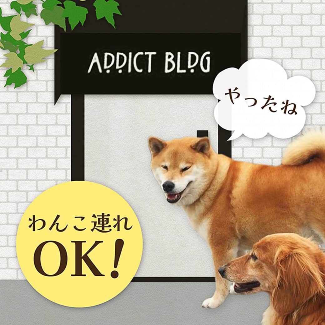 まる（まるたろう）さんのインスタグラム写真 - (まる（まるたろう）Instagram)「柴犬まる展in大阪　やるで〜 まるは小さい頃から大阪にはお世話になっております。義理人情の大阪に感謝を込めて開催しまーす！！  ↓お知らせ↓ このたび、「柴犬まるアート展 ～ 僕は君の記録係 ～」を大阪市浪速区にて開催する運びとなりました！ 大阪、いらっしゃ～～～い☆ 柴犬まるを幼少期から写真に収め続けてきた、まるパパこと小野慎二郎セレクトによる渾身の写真を展示いたします。 今年度は5月に東京は新御徒町にて、7月に長野県佐久市にて開催したときと同様に、柴犬まるの写真約50万枚の中から厳選した千枚展です。 特に今回は、柴犬まるが何度も遊びに行った大阪やで！マジかーー！大阪でのショットを今回のみ新しく厳選した写真を追加して、行くで！大阪！ 初めて見るかも～！という写真も多数お買い求めいただけますので、ぜひこの機会に柴犬まる16歳生誕祭を誰よりも、どこよりも早くお楽しみください！  朗報① 彫刻家はしもとみおさん作：木彫の兄まるが皆様をお迎えいたします！うっひょー！やさしくなでなでしてあげてくださいね。  朗報② なんと！わんこさん同伴可能です！やったね！詳細は通販サイトMARUTARO SHOPのインフォメーション内「【愛犬同伴の方へ】」をご一読の上お越しください。  ◆日時 2023年10月12日（木）～ 10月15日（日） 10:00～17:30（最終入場：17:00） ※最終日10/15（日）は16時半まで（最終入場：16時）ですのでご注意ください。  ◆入場無料 予約制ではありませんので、お気軽にお越しください。 ※会場内の状況により、人数制限をさせていただく場合がありますのであらかじめご了承ください。  #じぇったい来てね #関西人全員集合 #たこ焼きしばいたろか #柴犬まる展in大阪」9月10日 17時36分 - marutaro