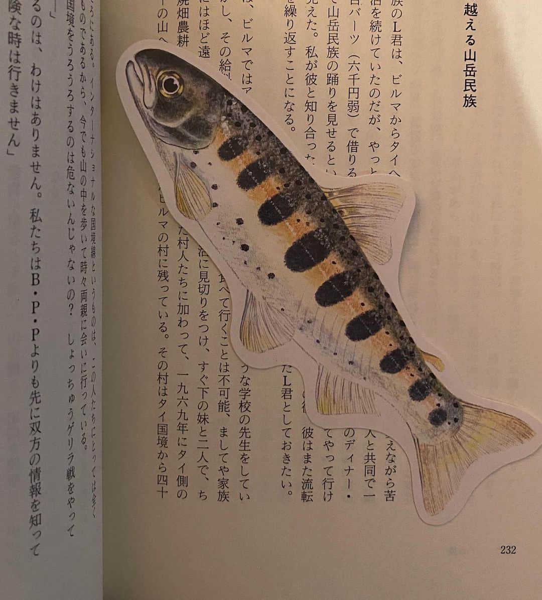 後藤しおりのインスタグラム：「定休日。自宅の大掃除の合間のごはんは、余りもので簡単に豚梅味噌炒め、モロヘイヤ浸し、糠漬け、具沢山のお味噌汁。先日買った古い本を開いたら、しおりがお魚だった。」