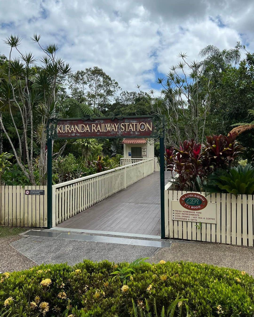 東野佑美さんのインスタグラム写真 - (東野佑美Instagram)「📍Cairns, Australia キュランダ村でアボリジニの方々と🕊️🌿🪃❤️‍🔥」9月10日 18時16分 - yumi.higashino