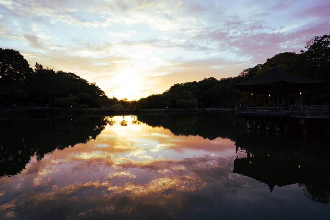 иαяα & куσтσ νιятυαℓ ωσяѕhιρさんのインスタグラム写真 - (иαяα & куσтσ νιятυαℓ ωσяѕhιρInstagram)「. 奈良の夕 . 奈良公園 浮見堂からの夕刻の景観 秋が近づく空はとても綺麗でした。 一枚目：百日紅と浮見堂 二枚目：鷺池に沈む夕陽の水鏡 三枚目：動画は早朝と夕方のミックスです。  ＝＝＝＝＝＝＝＝＝＝＝＝＝＝＝＝＝＝＝＝＝  Location：Nara Japan Gear：SONY α7Ⅲ Lens：TAMRON 20-40mm F2.8 Di III VXD  Please share and follow my page. @i_masanao  ＝＝＝＝＝＝＝＝＝＝＝＝＝＝＝＝＝＝＝＝＝  #水鏡 #夕方 #夕景 #夕焼け #浮見堂 #奈良公園 #奈良の風景 #奈良観光 #奈良さんぽ #リフレクション #奈良県景観資産 #わたしは奈良派 #evening #sunset #reflection #narapark #photo_jpn #team_jp_ #lovers_nippon #japan_daytime_view」9月10日 18時42分 - i_masanao