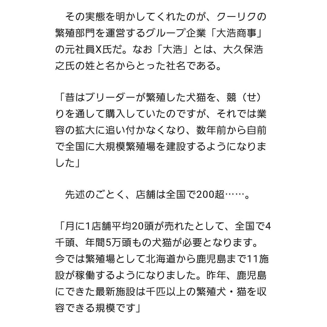 猫カフェきぶん屋さんのインスタグラム写真 - (猫カフェきぶん屋Instagram)「関わってはいけないペットショップ クーアンドリクには行かないで  珍しく全面否定の投稿します。 噂レベルではなく本当におかしいとずっと前から言われてました。 ペット販売や繁殖の業者が全てヤバいとは思ってませんが、クーアンドリクは本当に関わってはいけない会社。 契約もブリーディングも、ビッグモーターのような組織ぐるみの悪質なやり方してます。 何年も前から問題になってましたがデイリー新潮が取り上げましたね。  こんな会社に販売資格を持たせてはいけない。 新潮以外のメディアは忖度せずに徹底的に取材してもらいたい。 消費者には絶対に関わってほしくない。 金のためにどれだけの命を奪えば気が済むのか。 無理な配合をして障害を持って生まれた子を「譲渡活動」と謳い売り捌く。 気持ちが悪すぎるし消費者も気付かないと。  うちの近所でも見るたびに店舗が増えてます。 なかなか買えない品種の犬猫がいるからと背景を知らずに買わないでください。 動物も買う人も不幸になる仕組みです。 新潮の報道が真実であったとすると、このレベルの悪事をして会社の動物取扱資格を剥奪できないのであれば一刻も早く法改正を。 この業界の膿を全て出し尽くさないと、殺処分数よりも流通の過程で死ぬ犬猫の方が多い現実と、数字にも出てこない闇に葬られている苦しんでいる命が減りません。 国会でも取り上げて徹底的に調べてください。」9月10日 18時43分 - nekocafekibunya