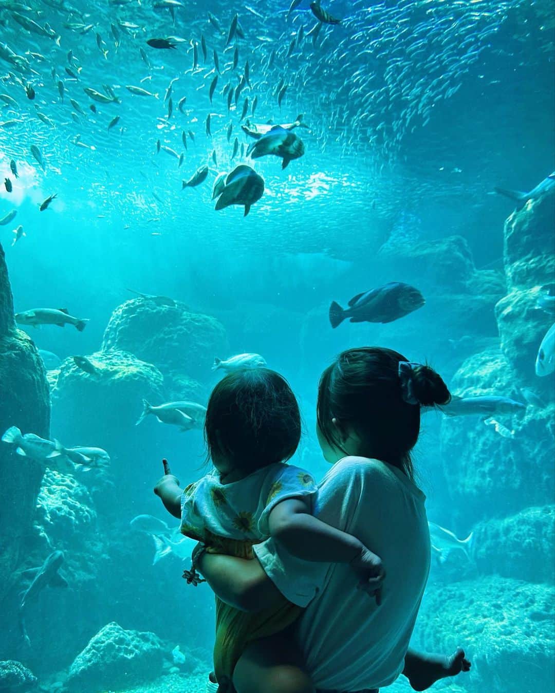 国枝洋子のインスタグラム：「久しぶりに片瀬江ノ島水族館へ🐟  イルカショーは何度見ても感動👏 1番前の席と後ろの席、 2回見ました🐬  ハンナも一緒にずぶ濡れ😂 イルカがジャンプするたびに 避けようとしてて可愛かった♡笑  こんな水族館が楽しいと思わなかった！ 次はどこに行こうかな〜🐟🐟  充実した日曜日🙆‍♀️」