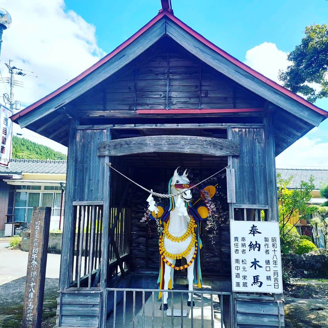 愛華みれのインスタグラム：「#鹿児島神宮   #神馬   木馬で喜んでいたら、本物の  白馬～🎶  うわぁ💦」