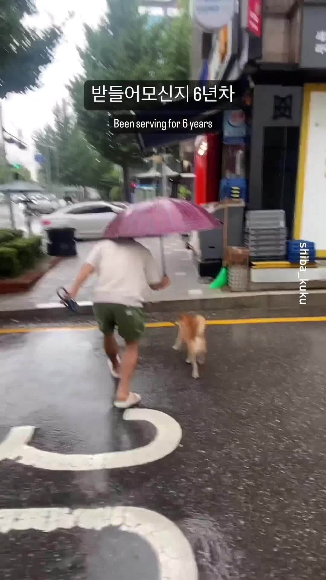 9GAGのインスタグラム