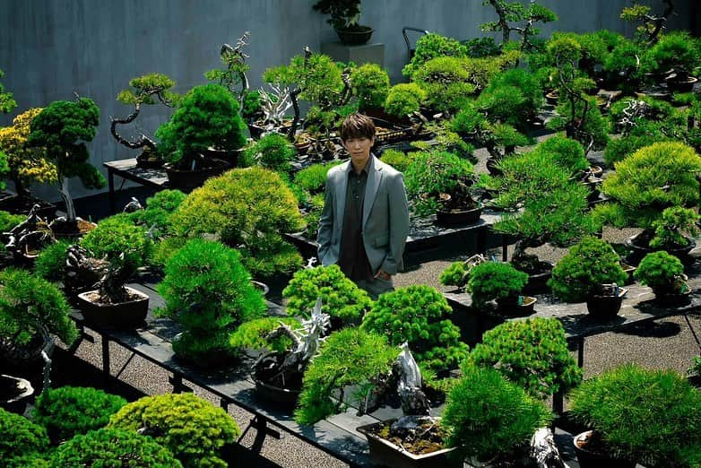 小山慶一郎さんのインスタグラム写真 - (小山慶一郎Instagram)「⁡ BONSAI -盆栽- の世界に触れる 昔からずっと魅力を感じている伝統的な文化 究極のヴィンテージでありアート作品🍃 ⁡ Bonsai / TEPPEI KOJIMA @teppei_kojima501 @tradmans_matsubaya.inc Photographer /  K.Mazdar Stylist / @kazuyamishima.tatanca ⁡ #japan #culture #bonsai #盆栽」9月10日 19時15分 - keiichiro.koyama