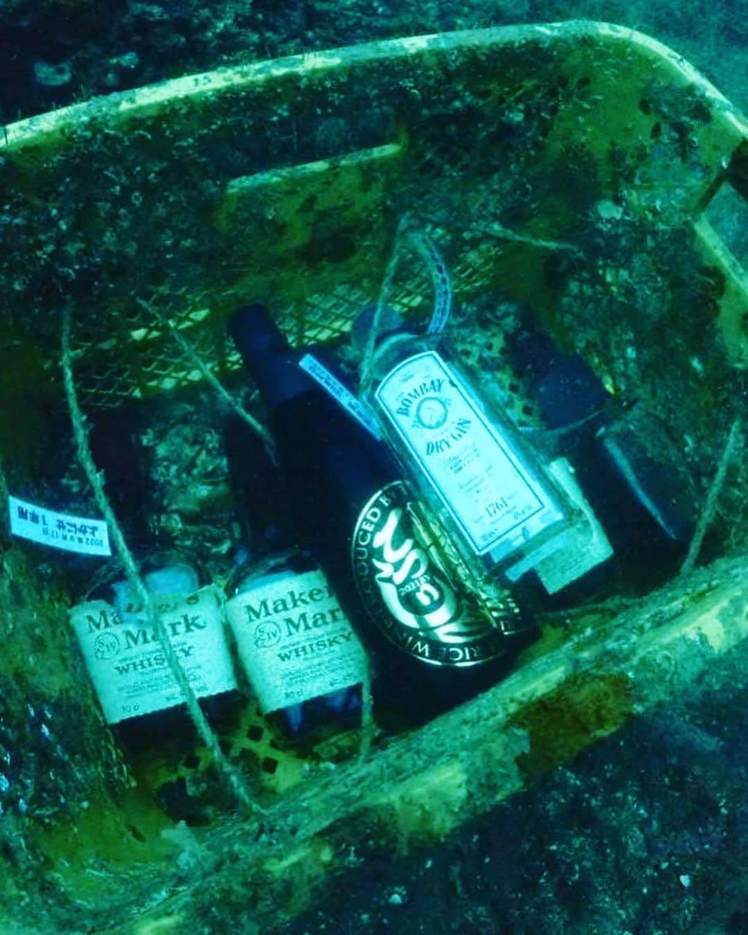 宮田麺児さんのインスタグラム写真 - (宮田麺児Instagram)「海底貯蔵していた 日本酒　引き上げ完了！！ ありがとうございます  あぁ　飲みたい！ #海底#海洋#海#貯蔵#熟成#日本酒」9月10日 19時58分 - miyatamenji