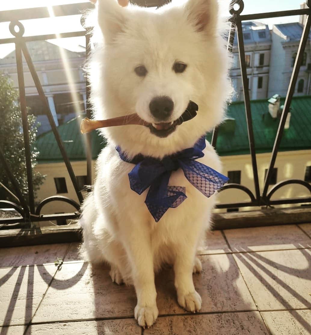 エレーナ・ベレズナヤのインスタグラム：「09.09.2023 1 годик нашей снежинке на ладоне)🎉🎁」