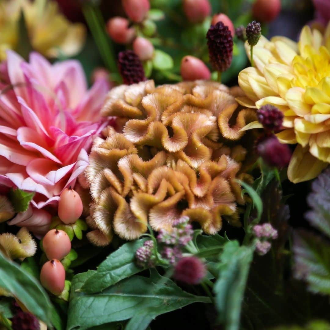 ニコライ・バーグマン・フラワーズ＆デザインさんのインスタグラム写真 - (ニコライ・バーグマン・フラワーズ＆デザインInstagram)「A closer look at the Beginning of Autumn Bouquet from this week’s #FridayFlowers . . . . . . #nicolaibergmann #flowerdesign #ニコライバーグマン #フラワーデザイン #니콜라이버그만 #꽃다발 #букетцветов #ramosdeflores #blumenstrauß #北欧デザイン #北欧インテリア」9月10日 20時02分 - nicolaibergmann