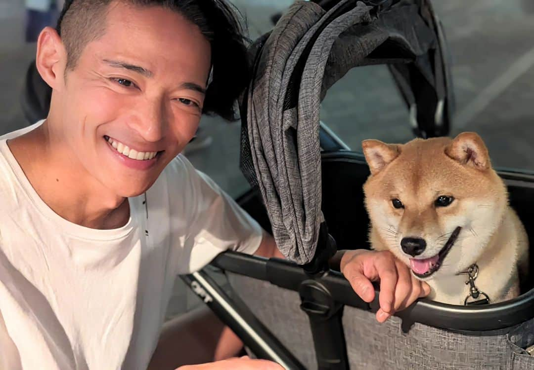 久保裕丈さんのインスタグラム写真 - (久保裕丈Instagram)「#柴犬あるある ストーリーに反響が大きかったので、柴犬あるあるを。 散歩中に「なでてもいいですか？」と聞かれると飼い主に緊張感が走る。 柴犬、撫でられるの好きじゃないです。特に頭。知らない人が手を伸ばしてきたら、ブチ切れるがデフォ。タッチングと言う練習を通じて飼い主も漸く色んな部位が触れる様になるくらい。  頑なに家でトイレしない。 台風や大雪の朝晩、散歩で出会うのは柴犬ばかり。  好奇心が強いくせに、ビビリで警戒心も強い。 気になって自分から近づく癖に、急に怖くなってブチ切れる、なんていう理不尽もかます。  そこそこ賢い。が、その賢さを飼い主のために使う気はあまりない。 自分に都合が悪かったり、乗り気じゃないときは、コマンドも敢えて聞こえないふりする。  添い寝はしない。足の間で寝るので身動き取れなくなる。  #柴犬　#柴犬のいる生活」9月10日 20時17分 - hirotakekubo