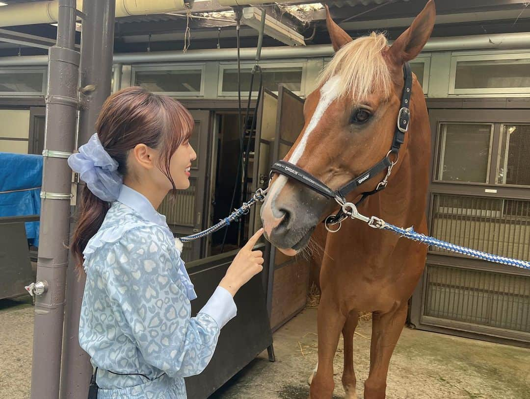 菅井友香さんのインスタグラム写真 - (菅井友香Instagram)「カンテレさんにて新番組 『菅井友香のウマのおケイコ〜教えて福永先生〜』 が始まることになりました🏇  福永祐一調教師が、GⅠレースのわかっているようで、わかっていないことを分かりやす〜く解説してくださる番組です✏️  福永先生と一緒に乗馬出来る日が来るなんて、、、とても光栄でした！  みなさん、ぜひみてくださいね🐎  【初回放送】 9月29日(金)22時52分～  カンテレ競馬でYouTube配信もあります🥕  🐴 写真で乗せて頂いた馬は、現在誘導馬として活躍しているクインズマラクータくん✨  #競馬 #カンテレ #福永祐一　さん #馬」9月10日 20時48分 - yuuka_sugai_official