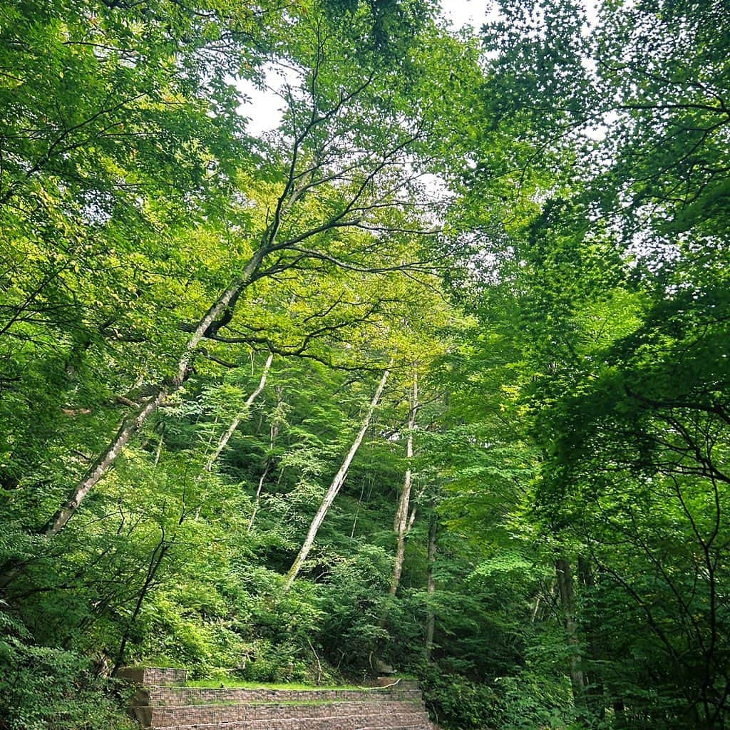 ぱちおまるさんのインスタグラム写真 - (ぱちおまるInstagram)「旅写真📷 温泉と緑に癒されたぁ🟢すぅはぁ」9月10日 21時05分 - pachiomaru