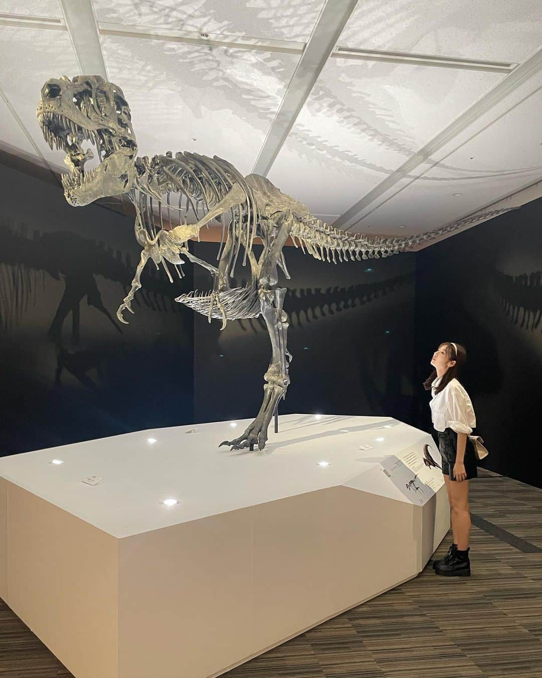 杉浦みずきのインスタグラム：「. 恐竜さんたちに会いに行ってきました🦖 やっぱアンキロサウルスかっこいいなーーとか ラプトル羽はえてたんーー！？とか モササウルス想像の何倍もちっちゃ！とか たぶん200点満点のリアクションして全力で楽しんでた恐竜好き姉妹でした😂  #恐竜科学博2023」