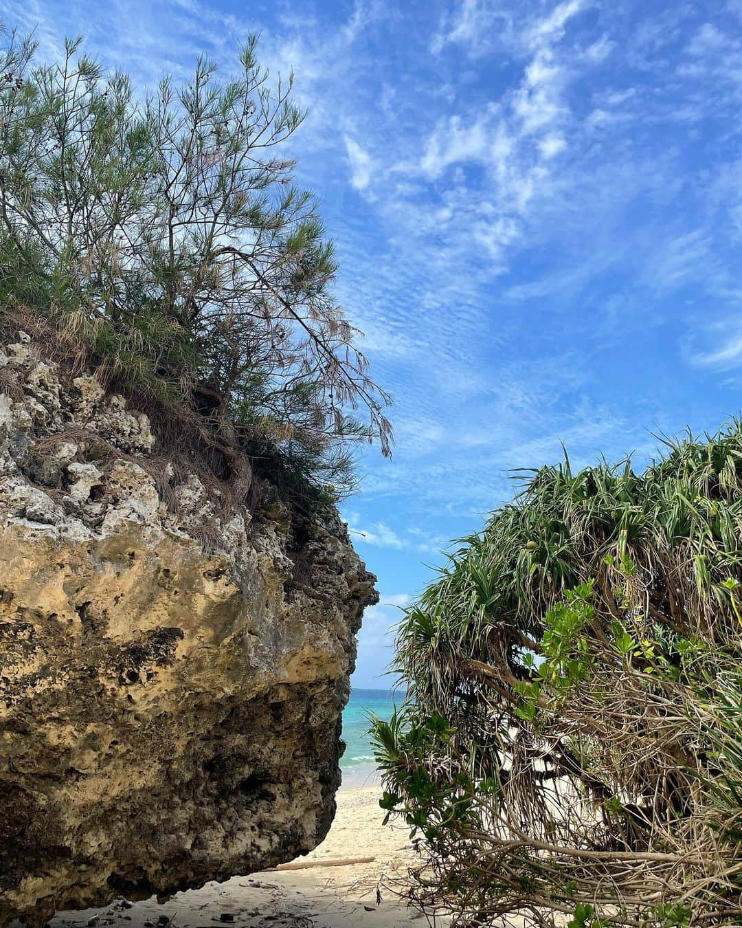 大野愛友佳さんのインスタグラム写真 - (大野愛友佳Instagram)「okinawa🐚  星野リゾートのバンタカフェにある プライベートビーチが素敵で..♡  緑や岩をくぐり抜けると 広がるブルーが素晴らしすぎる💭  カフェ利用だけで 海にも行けるからおすすめ◎  私たちはフライト前に時間があったので。 ゆったり過ごせてリフレッシュされました♡  #沖縄カフェ#バンタカフェ#星野リゾート#プライベートビーチ#沖縄コーデ#デートスポット#デートコーデ#ホワイトコーデ#夏コーデ#読谷村カフェ#読谷村#読谷村グルメ#沖縄ビーチ」9月10日 22時03分 - ohnoayuka