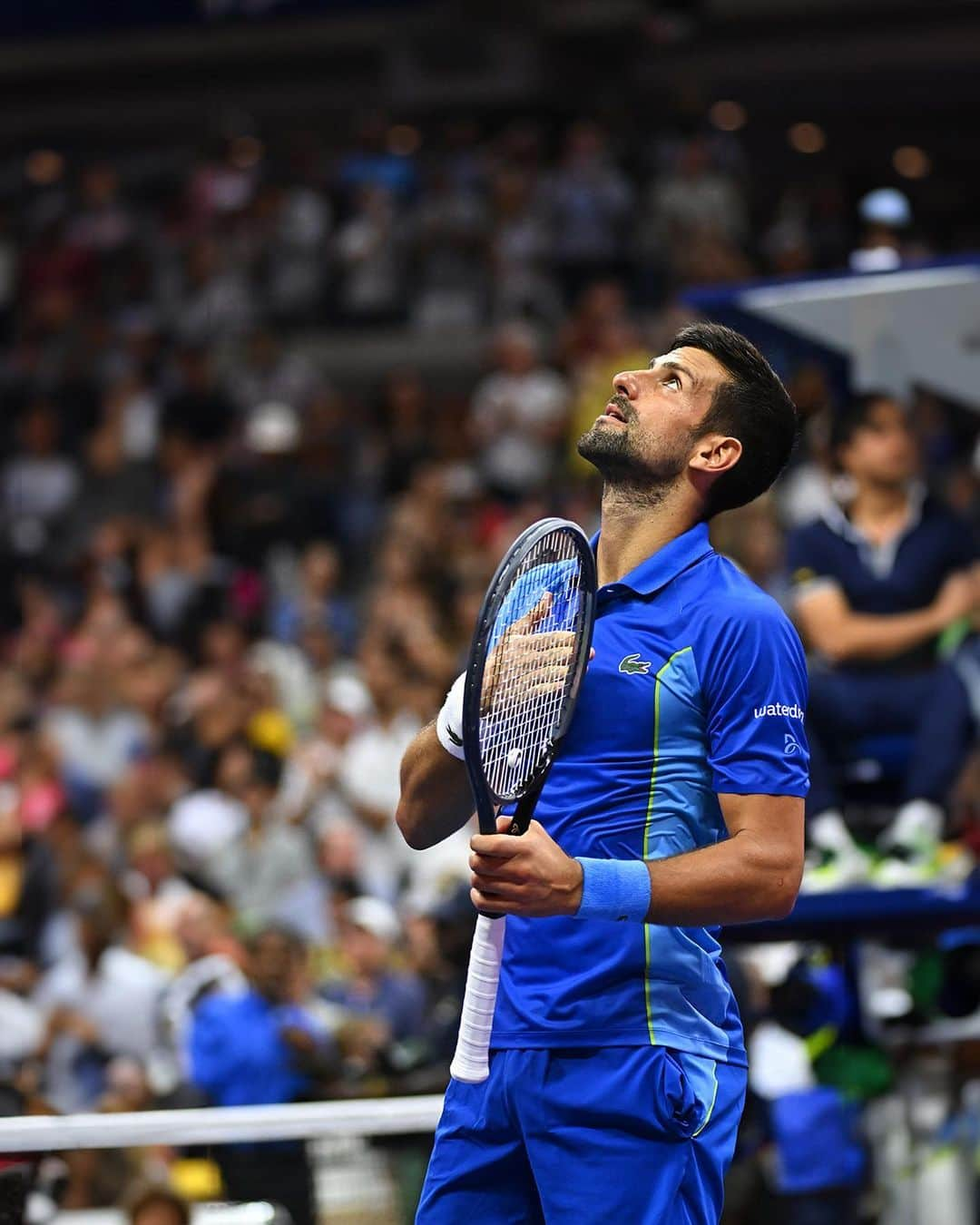 Lacosteのインスタグラム：「TENACITY NEVER GETS OLD. 💎  @djokernole continues to grow his legendary status with another high-flying Grand Slam victory, in an epic final that pitted him against the strategic tactics and creativity of @medwed33.  This 24th major title crowns not just his talent but also his tenacity combined with his daily discipline.  Novak certainly shines in a class of his own. All while taking the sport to new heights. ✈️  Huge congratulations for this one, Novak! 👏🏆  #TeamLacoste」