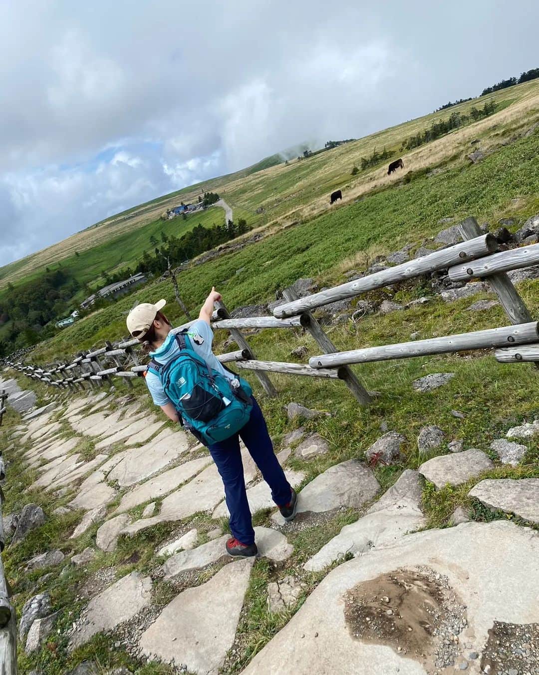 のインスタグラム：「長野旅続き☺️牛に会いに美ヶ原高原へ。 車でさっくり2000m近くまで上がれるお手軽山歩コースです。これでもか！というくらい牛に会えるので牛好き大歓喜スポットです🐮 台風がきていたのでまぁまぁ見事な曇天でしたが雨に降られることもなくゆる山歩を堪能できました🙆 晴れていればアルプスまで見えるそうなので晴れの日に行くのが大正解だと思います😂  #美ヶ原高原 #王ヶ頭 #牛」