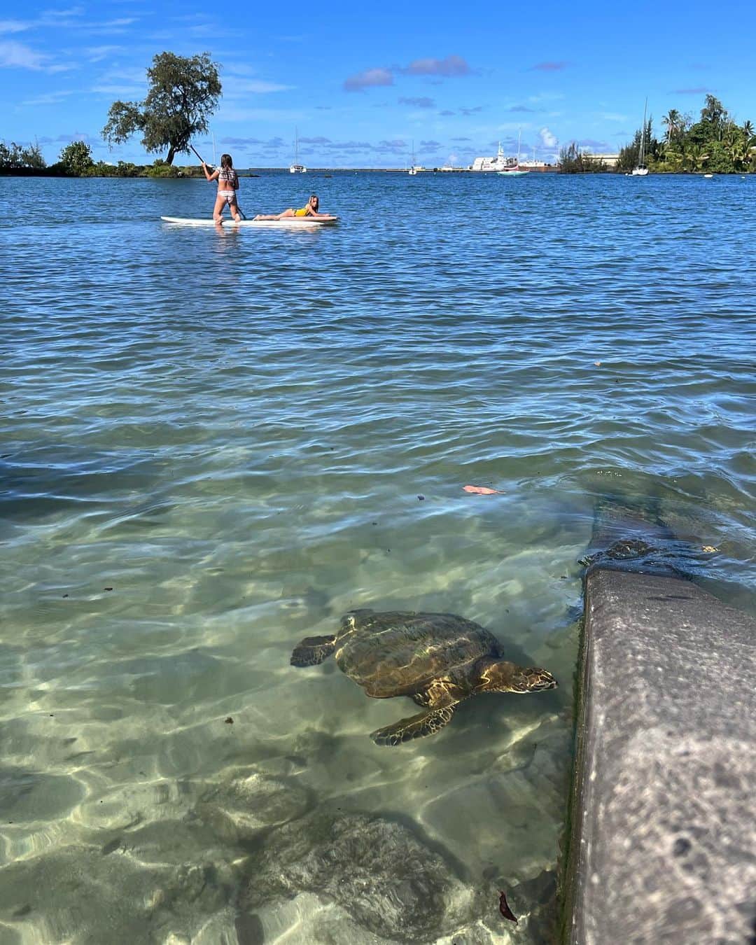 宮城夏鈴さんのインスタグラム写真 - (宮城夏鈴Instagram)「Aloha!  ハワイ島はじめてHiloに来てます！ ず〜っと来たかった場所🌴  ロコな老夫婦が砂辺で寄り添っていて  亀もその辺で藻をつっついていて、 日に焼けたまだ5歳くらいの男の子に 今遊んでるからあっち行け〜と言われ そっちの藻が食べたいのに顔で ウロウロ泳いでる感じ。  幼いけどしっかりアロハなギャル達が サップの練習をしながら海に転倒しまくってる感じ。  嬉しくてダブルピースがダサい私  全てとってもピースだなぁ✌︎('ω')✌︎☀️🤍」9月11日 8時58分 - karin_karin0516