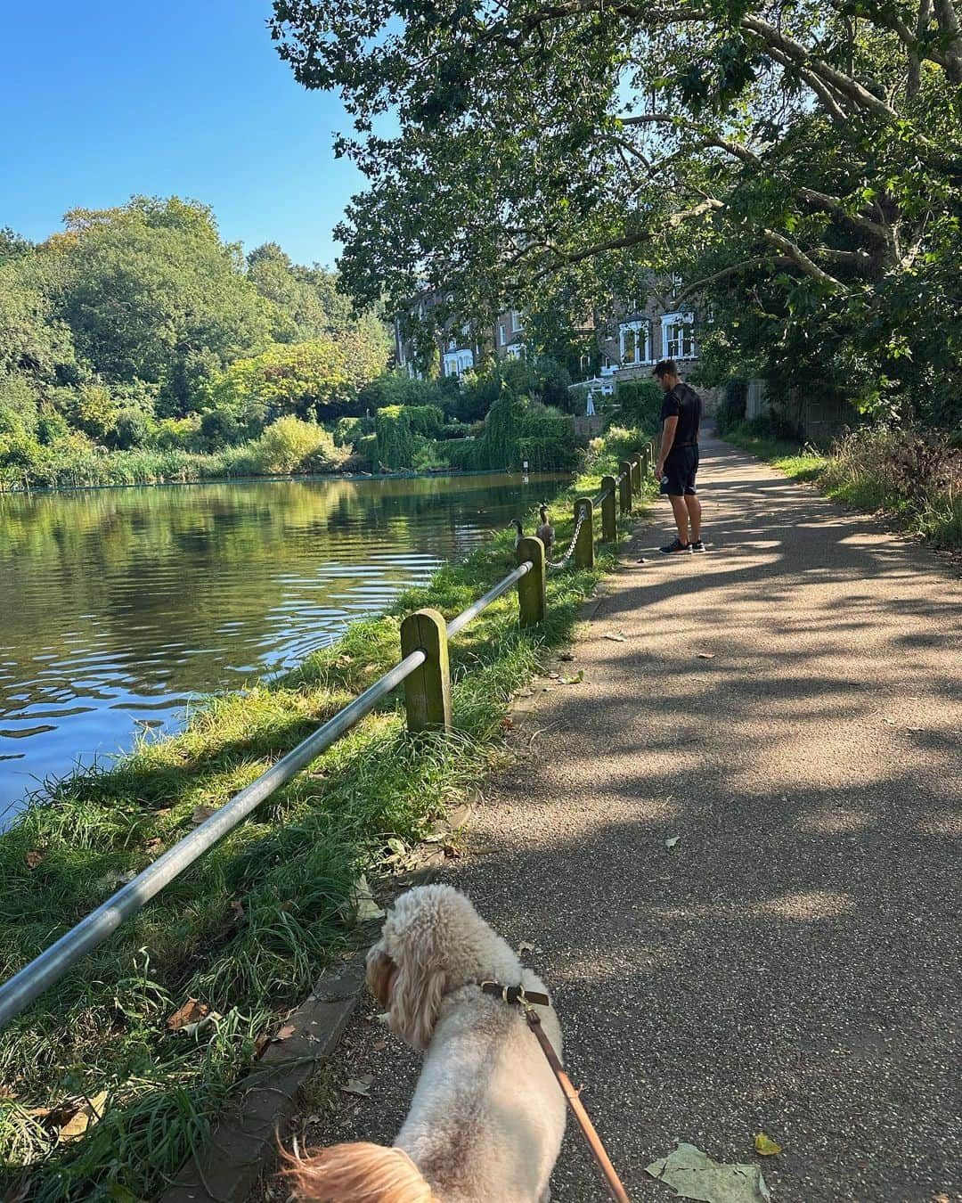 ケリー・ブルックのインスタグラム：「September Offerings …. 💕 🦢 🐖 🌅 🛶🐾🍂」