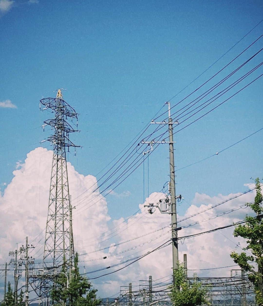 野島健矢さんのインスタグラム写真 - (野島健矢Instagram)「. 𓏲夏おわり休み𓂃𓂄 ⁡ ぼくの、夏終わり休みが幕を閉じました ⁡ もう5.6年ぶりとかになったのかな お爺ちゃんやお父さんに会いに高知県へ行って参りました 何事も突然人間なので、ふらっと決めちゃいました ⁡ ⁡ 羽伸ばしを大いに兼ねていた訳でもあるけど 高知でお爺ちゃんがお米やトマトを作ってるので この時期はトマトの手伝いも兼ねて苗を植えたりと スローライフな日々を過ごしていました ⁡ お昼になっちゃうととんでもなくハウスの中が暑くなるので 朝から昼までの時間でトマトの作業 ⁡ お昼以降は 大体、原動機付自転車で桂浜の太平洋沿いを走ったり 毎日、高知の温泉を巡りバイクの旅を満喫してました ⁡ やっぱり田舎のスーパー銭湯は広いし安いし人が少なくて のんびりとお湯に浸かってる時間が幸せだったなぁ ⁡ 1人で過ごす時間が今の自分には合っていて 殆どの時間をなるべく1人でぼんやり過ごしていました ⁡ ⁡ どこを走っても、どこに連れて行ってもらっても 一つ一つの景色がこんなに美しくて、飾らなくて 今の自分の足らなさに何かエネルギーを注いでくれるような そんな充実した日々でした、里帰りできてよかった ⁡ ⁡ 夏の始まりから瞬足で時間が経っていって いつの間にか終わりへと片足を突っ込んでる訳で この隙間ある時間を肥やしと休息に充てる旅が出来たのかな ⁡ いつもは京都にしか帰ることがなかったので いつもを少し変えてみてその隙間に新しい何かが やってくるような、そんな旅の目的でした ⁡ ⁡ 高知の後にそのまま地元、京都にも少し寄って 今回は京都に帰る事を周りに言ったりはしてなかったので ⁡ 田舎道を久しぶりにママチャリでのんびり散歩したり 少ない時間の中で会える人との時間を大切に過ごしたり お兄ちゃん家の生まれたてほやほやベイビーを観に行ったり 悪縁退散、良縁祈願のお参りをしに行ったりと ⁡ 自由気ままに、思うがままに、時が流れました ⁡ ⁡ この旅の到達点というか休息の目的を終盤で気づく事ができて 何事にも結局、意味はあるんだろうし 例えそれが答えじゃなくても、ヒントになり得たりとか 自分の気持ちを再確認できることが旅なんだなぁって ⁡ ⁡ 盲目になりがちな考え方や意識から環境自体 少し距離を取ると、手放すと、頭が冷えてきます ⁡ ⁡ 今東京に帰ってきて何かが軽くなっているのを実感してて その余白や隙間に新しい出会いやご縁がやってくるのです ⁡ ⁡ #高知 #京都 #里帰り#のじけん日記 ⁡ ⁡ ⁡」9月11日 1時17分 - nozimakenya