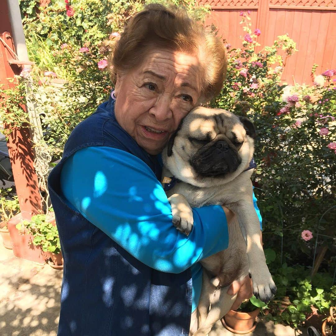 itsdougthepugさんのインスタグラム写真 - (itsdougthepugInstagram)「Dougie’s Nana, his great-grandma, passed peacefully today. She had the most beautiful love for Doug and we know she will be watching over us forever. Please send @dougsgrandma love and support💗🌈」9月11日 5時56分 - itsdougthepug