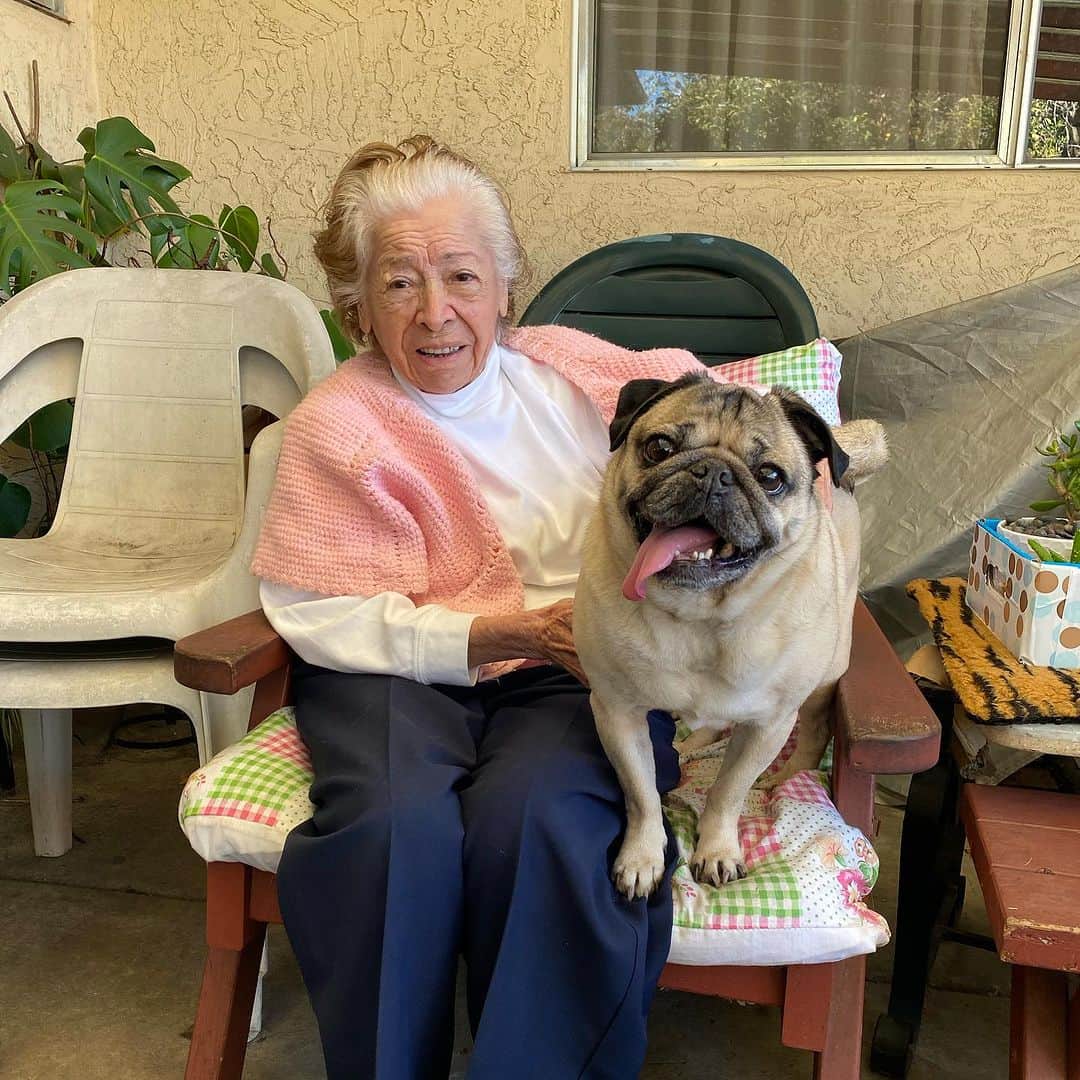 itsdougthepugさんのインスタグラム写真 - (itsdougthepugInstagram)「Dougie’s Nana, his great-grandma, passed peacefully today. She had the most beautiful love for Doug and we know she will be watching over us forever. Please send @dougsgrandma love and support💗🌈」9月11日 5時56分 - itsdougthepug