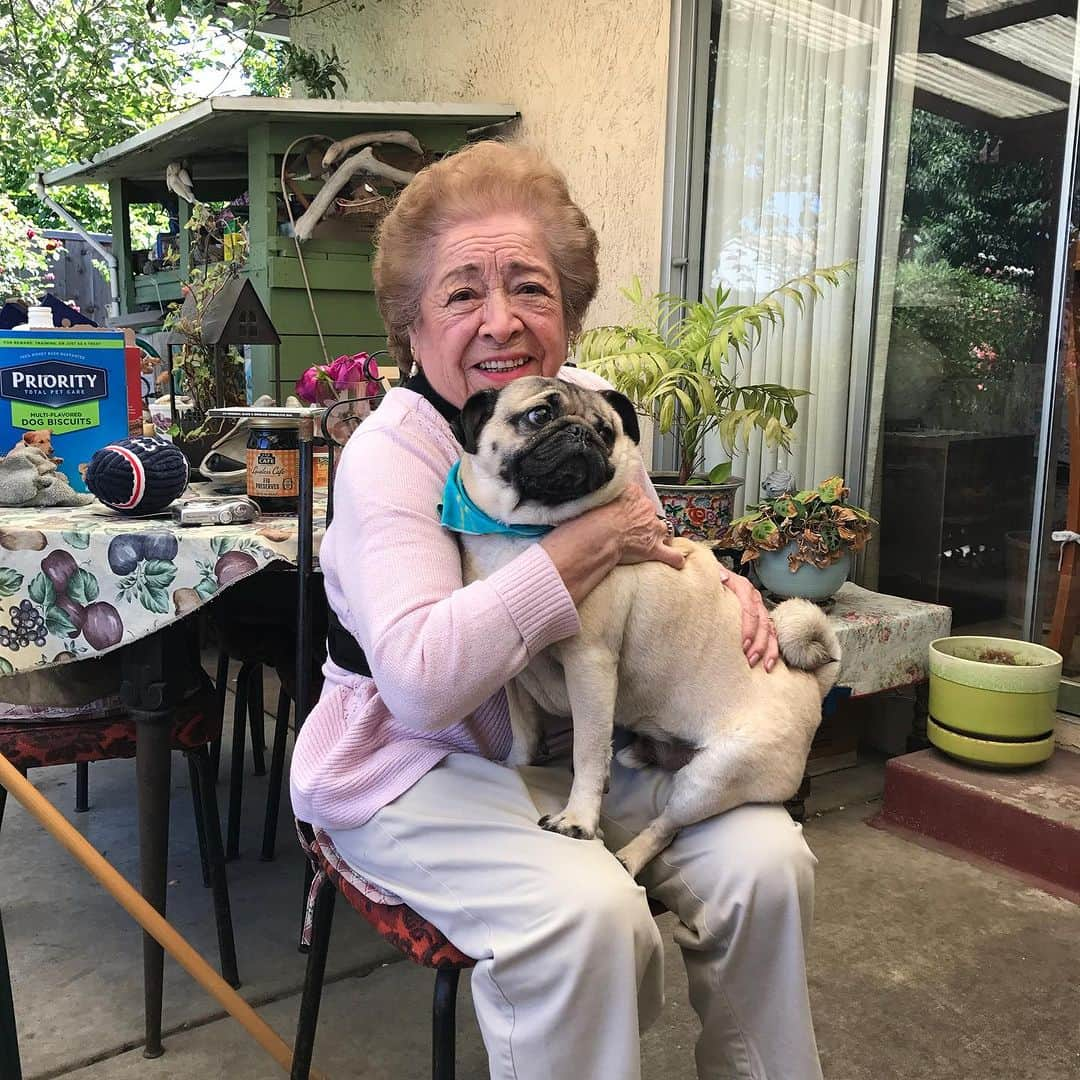 itsdougthepugさんのインスタグラム写真 - (itsdougthepugInstagram)「Dougie’s Nana, his great-grandma, passed peacefully today. She had the most beautiful love for Doug and we know she will be watching over us forever. Please send @dougsgrandma love and support💗🌈」9月11日 5時56分 - itsdougthepug