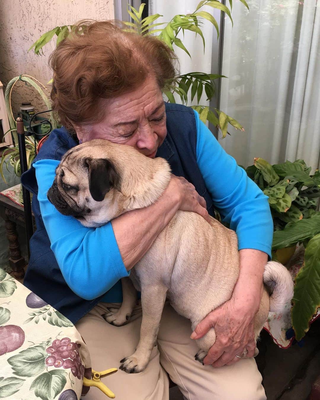 itsdougthepugのインスタグラム：「Dougie’s Nana, his great-grandma, passed peacefully today. She had the most beautiful love for Doug and we know she will be watching over us forever. Please send @dougsgrandma love and support💗🌈」