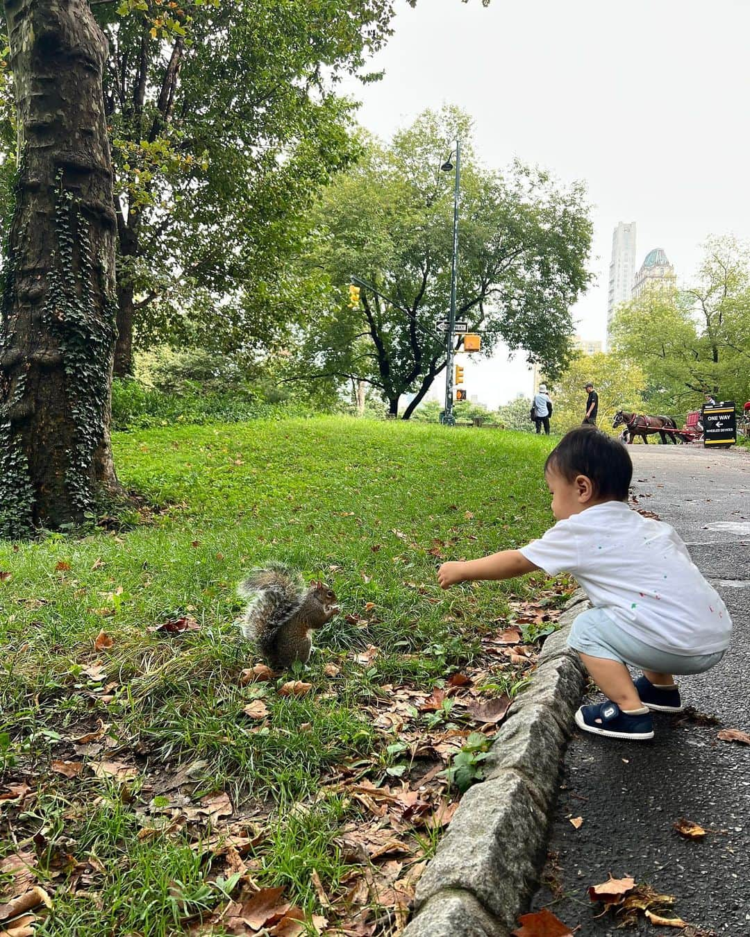 大出千尋さんのインスタグラム写真 - (大出千尋Instagram)「Weekend in Central Park🐿️  可愛いリスに遭遇して、何やらおしゃべりしてる二人♡ 息子は怖がらずに走りながら追いかけていました💨 癒されたなぁ☺️  帰り道に大好きなカフェ @belamicafe でお茶して帰宅☕️  #ニューヨーク生活#男の子ママ#1歳9ヶ月」9月11日 6時26分 - chihiro_1208_offi