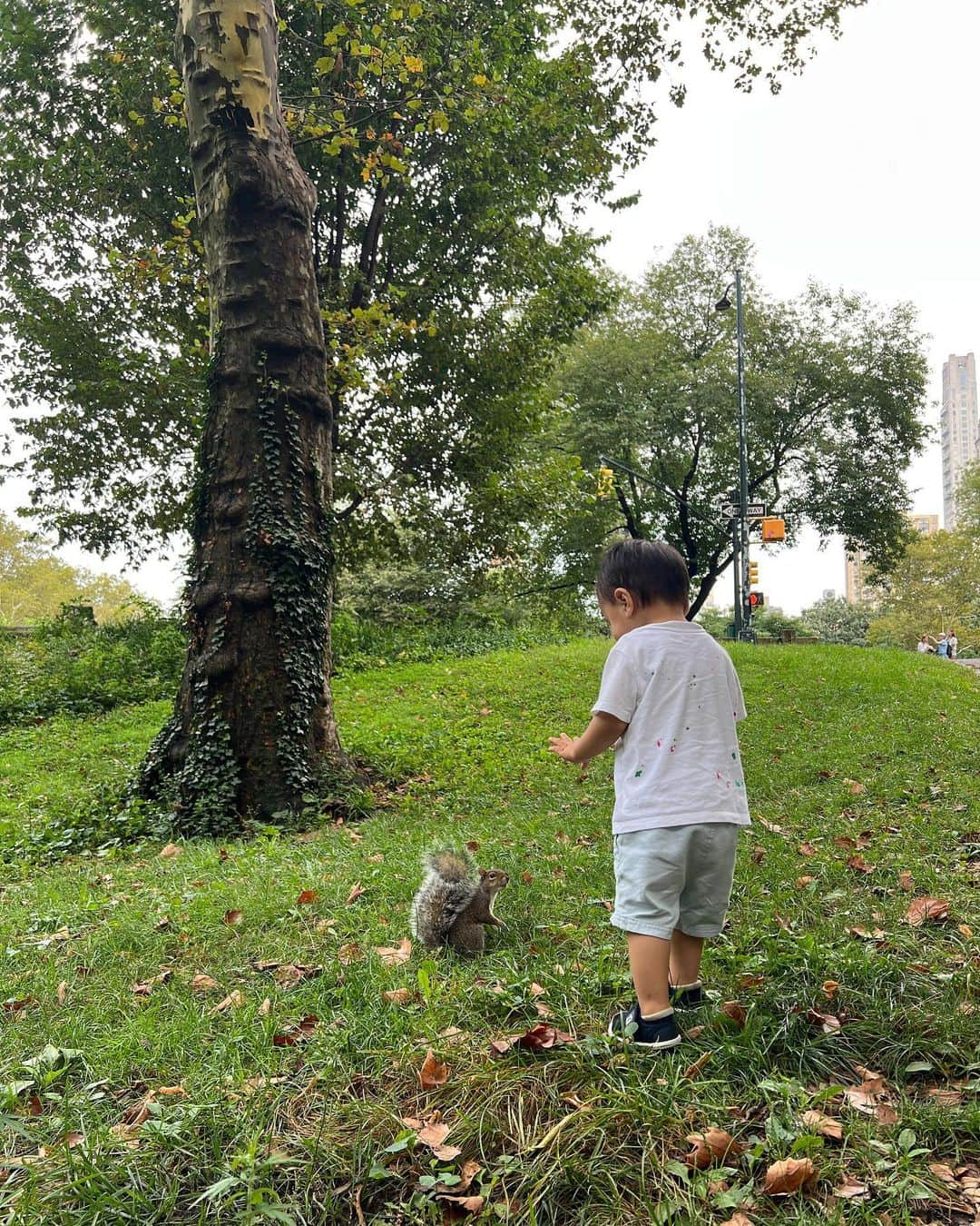 大出千尋さんのインスタグラム写真 - (大出千尋Instagram)「Weekend in Central Park🐿️  可愛いリスに遭遇して、何やらおしゃべりしてる二人♡ 息子は怖がらずに走りながら追いかけていました💨 癒されたなぁ☺️  帰り道に大好きなカフェ @belamicafe でお茶して帰宅☕️  #ニューヨーク生活#男の子ママ#1歳9ヶ月」9月11日 6時26分 - chihiro_1208_offi