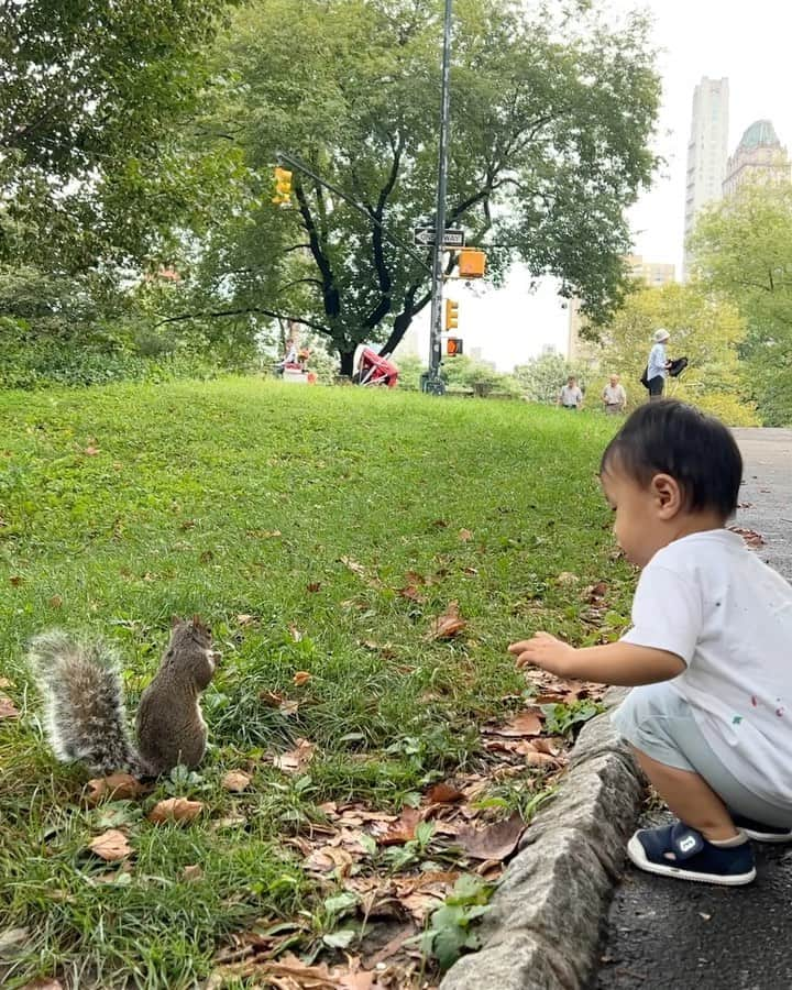 大出千尋のインスタグラム：「Weekend in Central Park🐿️  可愛いリスに遭遇して、何やらおしゃべりしてる二人♡ 息子は怖がらずに走りながら追いかけていました💨 癒されたなぁ☺️  帰り道に大好きなカフェ @belamicafe でお茶して帰宅☕️  #ニューヨーク生活#男の子ママ#1歳9ヶ月」