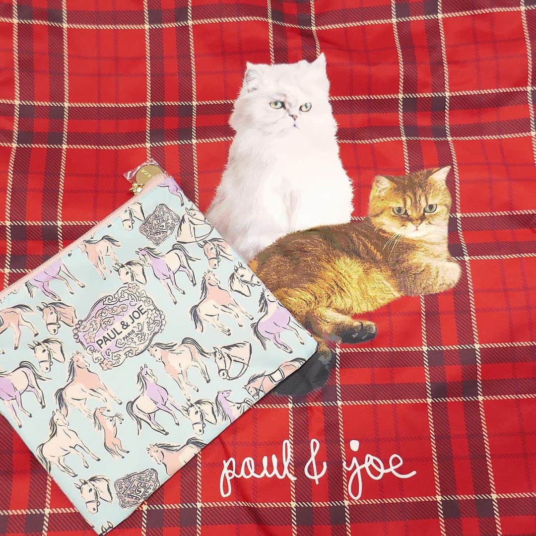 美的 Biteki's official Instagram! さんのインスタグラム写真 - (美的 Biteki's official Instagram! Instagram)「＼ポール ＆ ジョー ボーテのクリスマスコフレ2023情報が届きました！／ ◆画像1〜9枚目 「メイクアップ コレクション 2023」1種 ￥14,300 まずは、アドベントカレンダー型コフレ！第6弾となる今回は、ポール ＆ ジョーの代表的モチーフである猫をテーマに、デザイナー・ソフィーの愛猫 ジブシー＆ヌネットがボックスに大胆にデザインされています。 24個の扉には、気まぐれに、自由に色々な表情を見せるジプシー＆ヌネットのように、気分やシーンによって様々な表情を楽しむことができるメイクアイテムや、大人気のファンデーションプライマー、スキンケア、ボディケア、雑貨まで入り、クリスマスまでの毎日をさらにHAPPYにしてくれること間違いなし！   ＜＜セットアイテムはこちら＞＞ ●ラトゥー エクラ ファンデーション プライマー リミテッド 001（10ml） ●スパークリング ファンデーション プライマー 001（10ml） ●ファンデーション プライマー リミテッド 002（10ml＋パウチ10包） ●ハイドレーティング ジェル（6ml） ●パウダー ブラッシュ リミテッド 002（3g） ●クリーム ブラッシュ リミテッド 002（8g） ●アイカラー リミテッド A 001（3g） ●クリーム アイカラー 005（9g） ●リップ トリートメント バーム リミテッド 006（6g） ●リップグロス リミテッド 007（6g） ●リップスティック リミテッド A 2色（各2.6g） ●リップスティック ケース リミテッド 010 ●リップスティック ケース 001 ●クレンジング ジェル（10g） ●オイル（25ml） ●ハーバル ローション（パウチ10包） ●モイスチュア ローション（パウチ10包） ●ネイル オイル リミテッド 003（4g） ●ハンド クリーム（14g） ●モイスチュアライジング ハンドクリーム N（15g） ●ポーチ（W16×H14cm） ●バッグ（W40×H40cm／持ち手を含むとH59cm）   ◆画像10枚目 「ビューティー ミラー IV」1種 ￥3,080 シンボルモチーフ・クリザンテームを施したおしゃれなデザインと、顔全体が見える使い勝手の良さで人気の「ビューティー ミラー」は、限定カラーで登場！マットピンクと上品なペールトーンのグリーンを纏ったミラーは、のぞき込む姿さえ華やかに演出します。 ホリデーシーズンのワクワク感が高まるフラワープリントの巾着付き♪   ◆画像10枚目 「ふろしき」1種 ￥1,100 カジュアルだけど可愛く、そして想いもちゃんと届けたいというときにおすすめなのがラッピング用ふろしき。 ジプシー＆ヌネットとブランドロゴがプリントされたファブリック素材のふろしきは、ハンカチやランチョンマットなどにリユースも可能です。   その他、くすみのない輝くようなツヤ肌を演出するプライマー「ラトゥー エクラ ファンデーション プライマー N」（SPF20・PA＋＋）の限定ハーフサイズや（15ml ￥2,420）、リボン姿の“おめかしヌネット”がデザインされた「ラッピング ボックス S」（￥330）も登場！ぜひチェックしてみて！   ※すべて税込 ※2023年11月1日（水）限定発売＜10月18日（水）予約開始＞   #ポールアンドジョー#paulandjoe#ポールアンドジョーボーテ#クリスマスコレクション#クリスマスコフレ#クリスマスコフレ2023#ホリデーコレクション#クリスマス#美的クリスマスコフレ#bitekicom#Xmas#アドベントカレンダー#メイク#メイクアップ#コスメ#コスメレポ#スウォッチ#全色スウォッチ#ミラー#ギフト#プレゼント#セット#コフレ#bitekicom#美的クリスマスコフレ2023」9月12日 7時00分 - bitekicom
