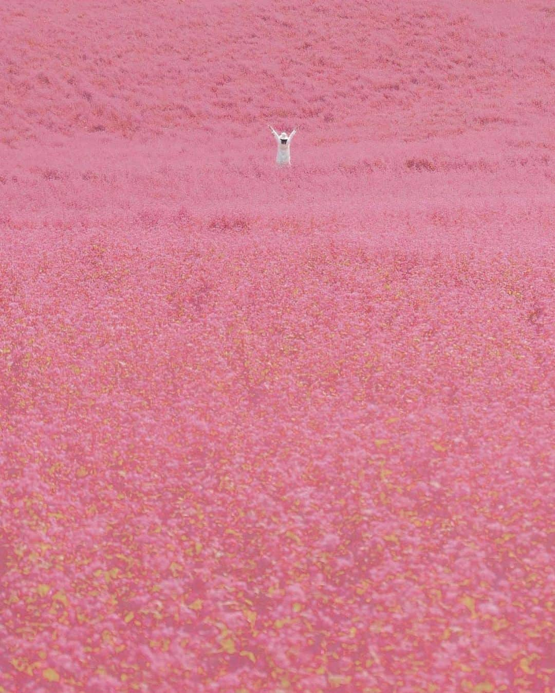 ?長野県 観光 公式インスタグラム のインスタグラム