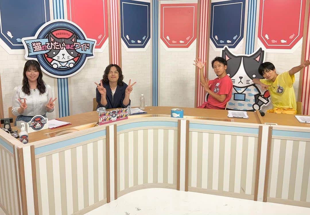 猫のひたいほどワイドのグルメインスタ