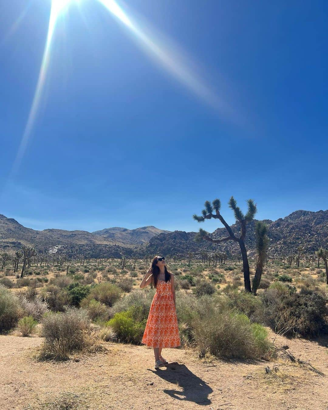 イ・ダヘさんのインスタグラム写真 - (イ・ダヘInstagram)「Heaven is under our feet as well as over our heads⭐️  #HenryDavidThoreau #beautiful #environment #joshuatree #joshuatreenationalpark」9月11日 17時09分 - leedahey4eva