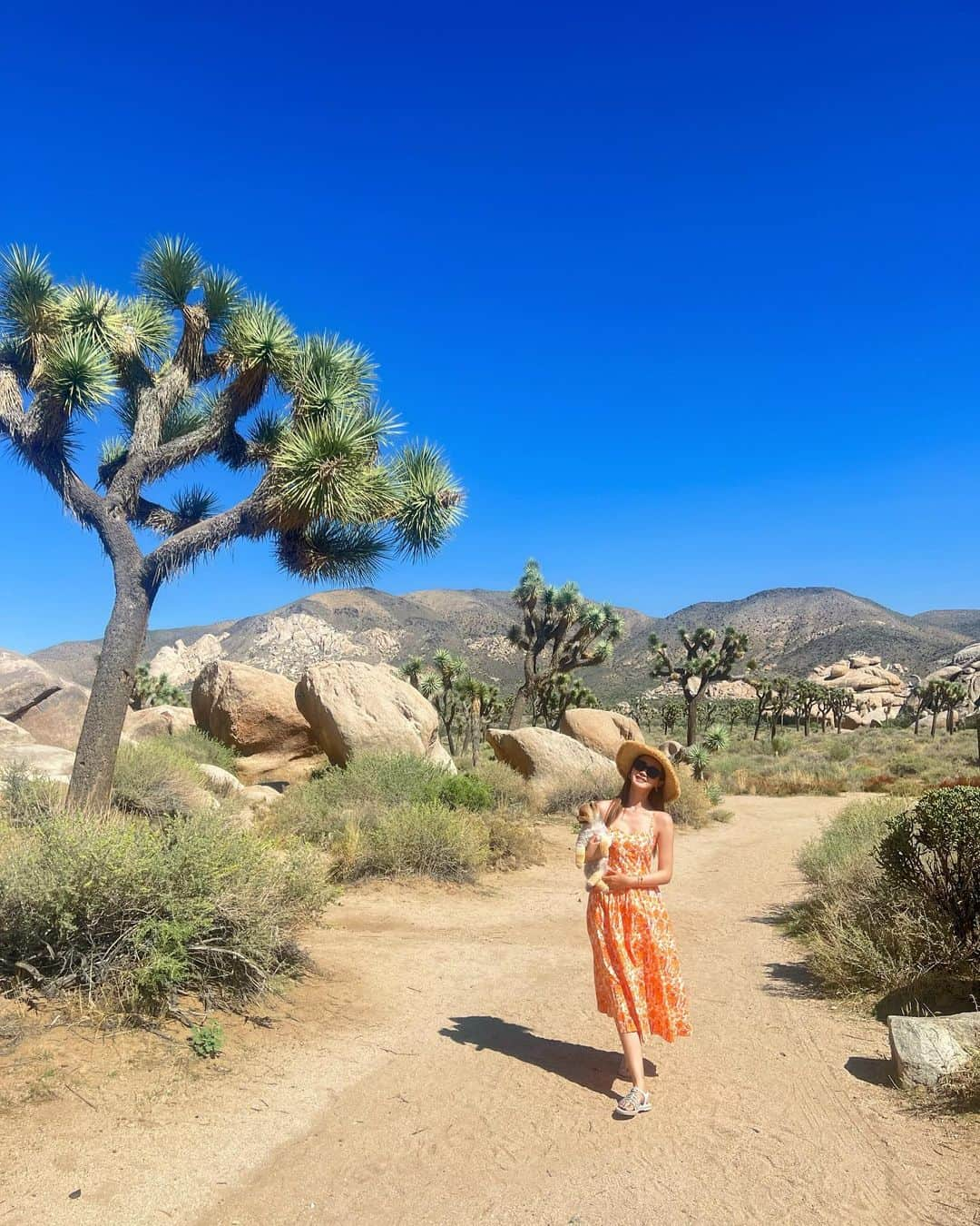 イ・ダヘさんのインスタグラム写真 - (イ・ダヘInstagram)「Heaven is under our feet as well as over our heads⭐️  #HenryDavidThoreau #beautiful #environment #joshuatree #joshuatreenationalpark」9月11日 17時09分 - leedahey4eva