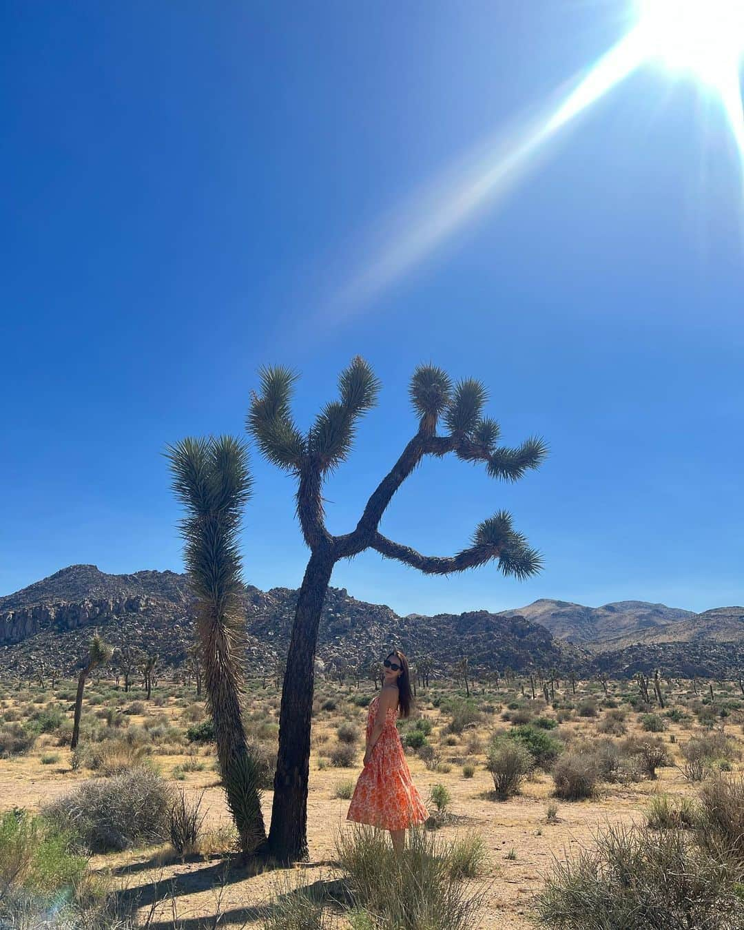 イ・ダヘさんのインスタグラム写真 - (イ・ダヘInstagram)「Heaven is under our feet as well as over our heads⭐️  #HenryDavidThoreau #beautiful #environment #joshuatree #joshuatreenationalpark」9月11日 17時09分 - leedahey4eva