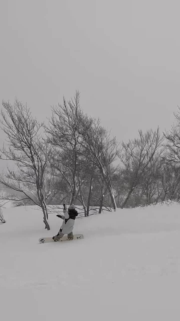 Burton Japanのインスタグラム：「こんな日はFamily Treeの出番です❄️ 📹: @seiselassie  #Burton #Snowboarding」