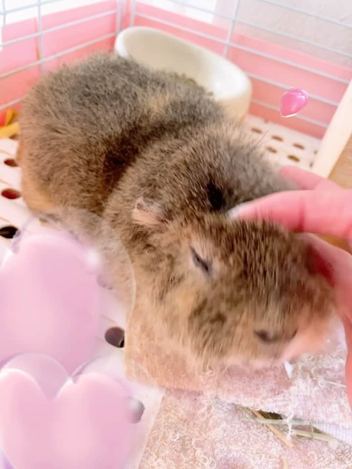お茶の水うらんのインスタグラム