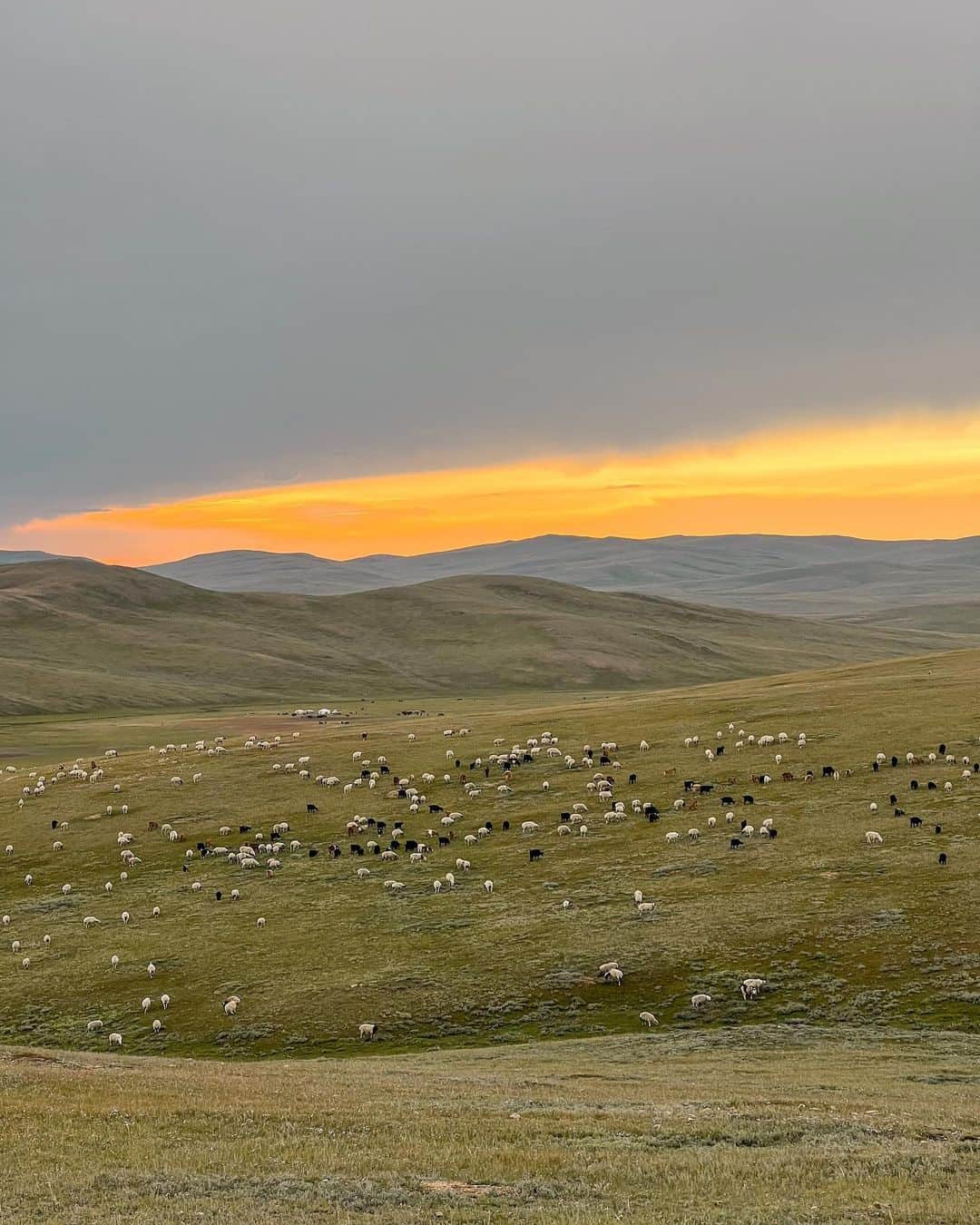 羽石杏奈さんのインスタグラム写真 - (羽石杏奈Instagram)「Nomad life in Mongolia. 🇲🇳✨❤️  モンゴルで遊牧民の家族と、生活と、 ４日間一緒に過ごさせてもらいました✴︎ ストーリーにハイライトまとめたよ🐏  今回は @trapol_official の視察でした🌏 ツアー化が楽しみ〜YouTubeも完成したらまたお知らせするね🧡」9月11日 17時58分 - hawaiianna913