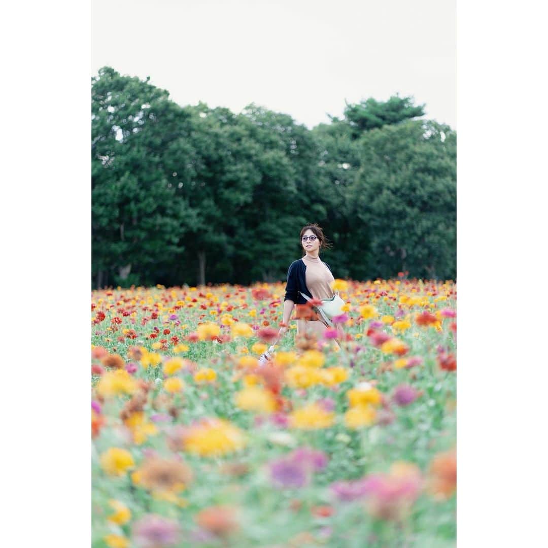 水崎綾女さんのインスタグラム写真 - (水崎綾女Instagram)「Flower🪻」9月11日 17時58分 - misakiayame
