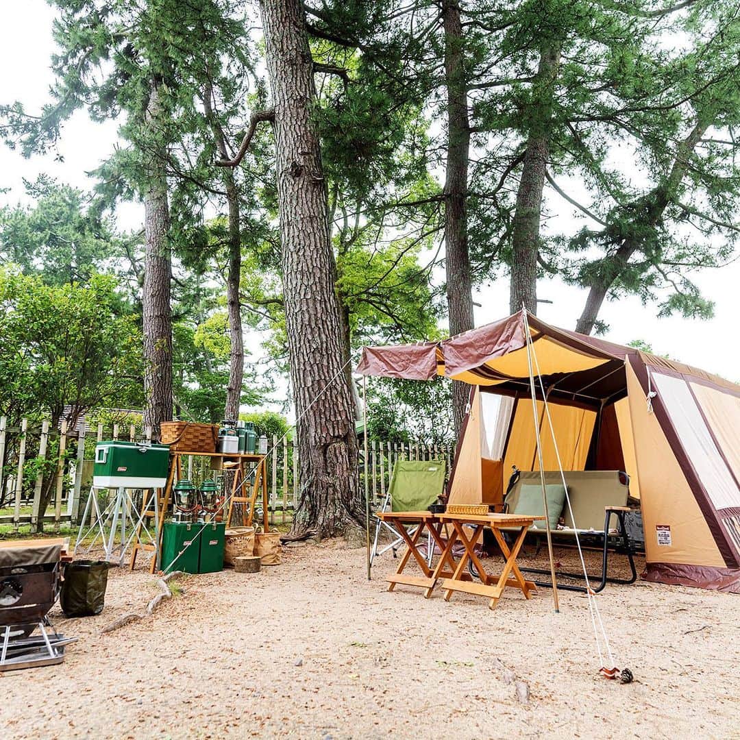 キャンプ情報サイト［ランタン］さんのインスタグラム写真 - (キャンプ情報サイト［ランタン］Instagram)「CAMP SMILE STYLE ／ 希少なogawaのロッジテントでナチュラルキャンプ。 目に優しいグリーンギアと合わせて落ち着くサイトに ＼ いろんなキャンパーのキャンプスタイルを現地取材と一般キャンパーからの投稿で数多く掲載してます。 . . 詳しくは @lantern.camp webサイトをご覧ください . . #camp #camping #camplife #outdoor #travel #trip #lantern_smile #キャンプ #キャンプ用品 #アウトドア #テント #自然 #旅行 #キャンプ初心者 #キャンプ好きな人と繋がりたい #アウトドア好きな人と繋がりたい #camper #外遊び #キャンプスタイル #マイアミ浜オートキャンプ場 #デュオキャンプ #デュオキャン #Coleman #コールマン #ogawa #オガワキャンパル #オーナーロッジタイプ49 #ホワイトガソリンランタン  #stanley #スタンレー」9月11日 18時00分 - lantern.camp