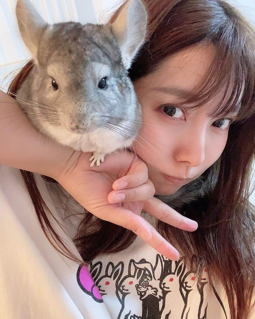 高田世莉菜のインスタグラム：「デカいハムスターちゃうねん！！！チンチラですねん🐭💕  #チンチラ  #エキゾチックアニマル」