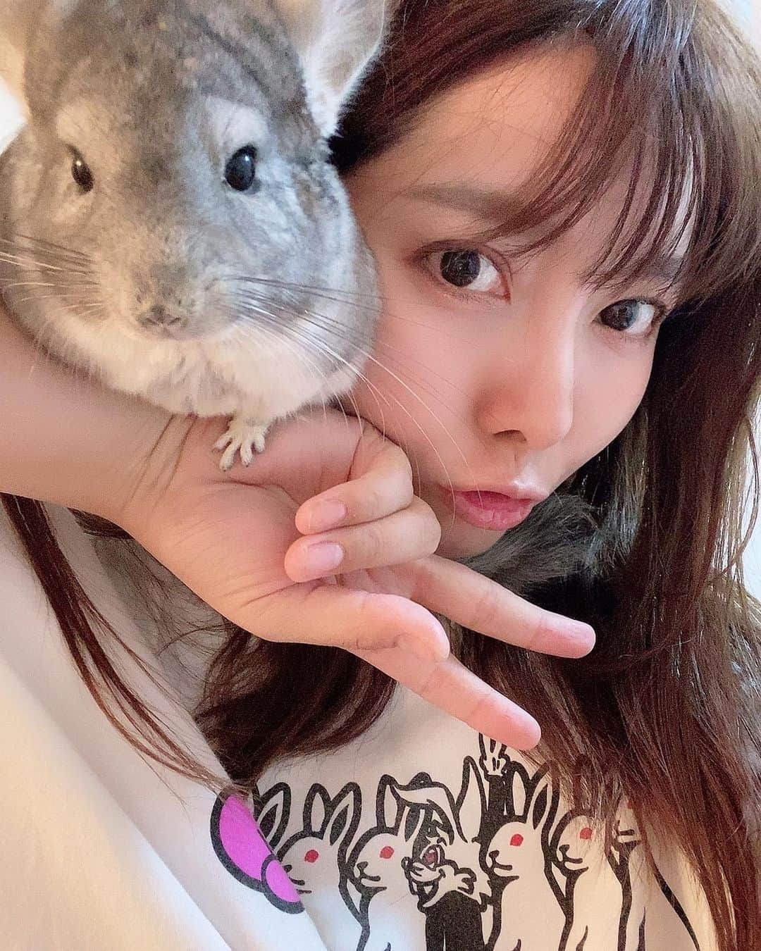 高田世莉菜さんのインスタグラム写真 - (高田世莉菜Instagram)「デカいハムスターちゃうねん！！！チンチラですねん🐭💕  #チンチラ  #エキゾチックアニマル」9月11日 18時03分 - serina_0531