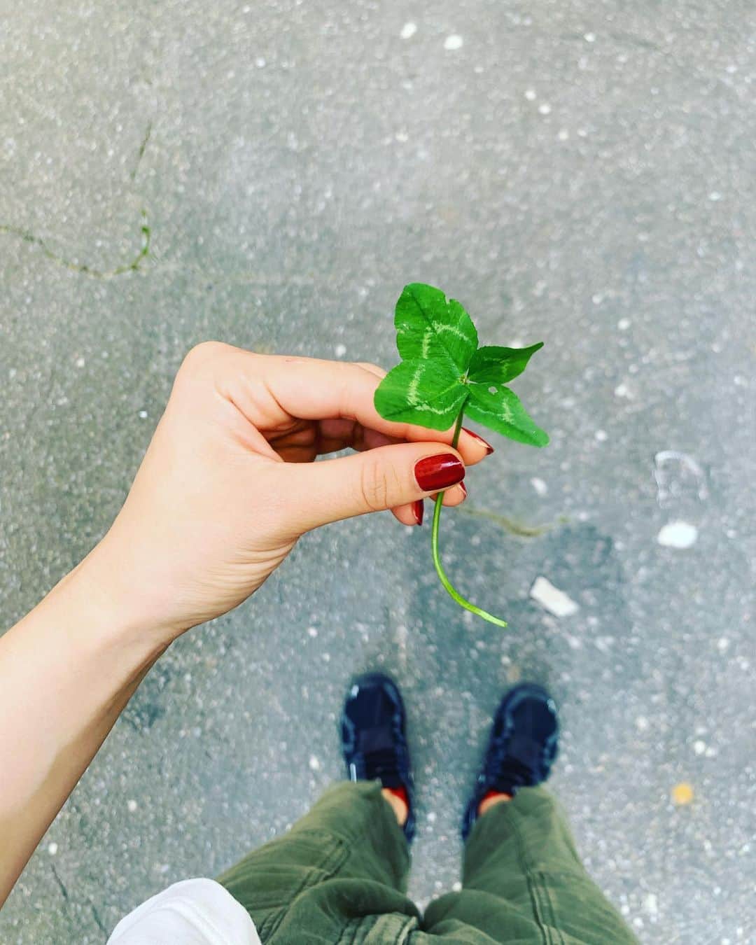 小松原美里のインスタグラム：「Learn to let go of what does not ask to be held.  - #zehra   I’ll never pick from the ground after you. Thank you for finding me🍀」