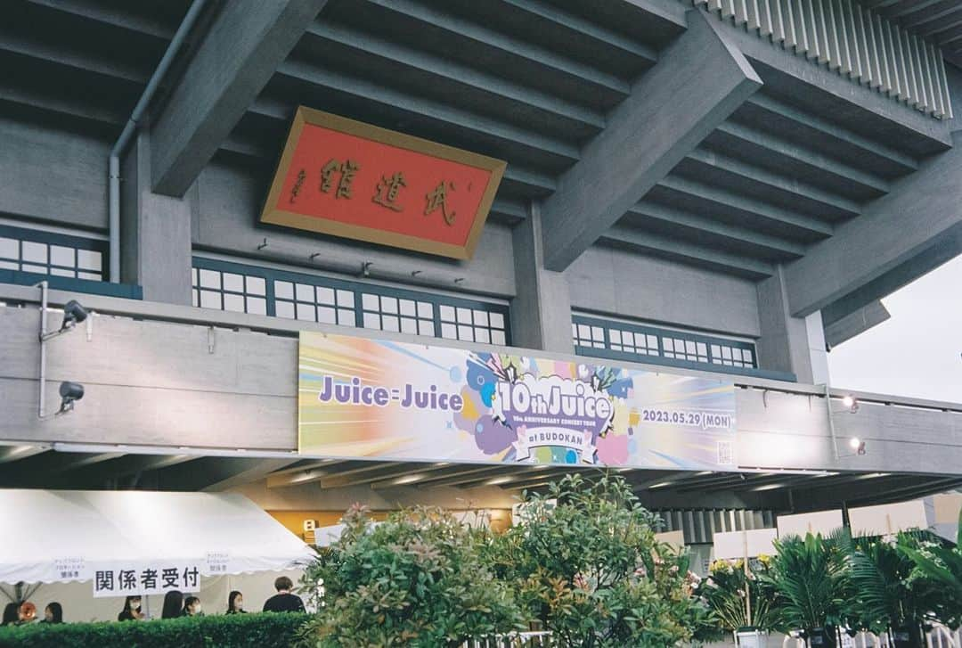 小川紗良さんのインスタグラム写真 - (小川紗良Instagram)「（写真はいつかのJuice=Juice武道館公演ですが）  昨日Hello! Project 25周年記念のコンサートへ行ってきました。  「LOVEマシーン」が発売されたのが3歳のとき。物心ついたころにはモーニング娘。が一世風靡していて、私も自ずとモーニング娘。が大好きになり、大きくなったらあの中に入れるもんだと思っていました。  オーディションを受けるという発想すらなく、その日は来ませんでしたが、何度も真似した「三人祭」や、映画館へ観に行ったミニハムず、友達と「辻ちゃんか加護ちゃんか」で言い争った時間など、幼少の記憶はハロプロとともにあります。  思春期、もっと広い世界を見たいと一時はハロプロから家出をしました。今思えば、その間に見逃せない瞬間がいくつもあったのに、リアルタイムで体感できなかったことが本当に悔しいです。  しかし二十歳を超えて、人生に思い悩みひとりカラオケボックスに入った時、ハロプロは再び私を迎え入れてくれました。小さなモニターの中で、モーニング娘。が新曲のプロモーションをしていました。その瞬間、幼少から刻まれたハロプロの16ビートが私の中で息を吹き返したのです。  ハロプロはずっとずっとそこに居てくれたのに、私は何をやっていたんだろう。猛反省して、そこから見逃していた期間の音楽や映像を必死で掘り返しました。出てくる出てくる、伝説の数々。しかもそれは現在進行形で広がり続けているのです。広い世界どころか、果てしない宇宙がここにあると、悟りました。  そうして迎えた昨日。飛び出しそうな心臓を押さえつけながら、代々木第一体育館へ向かいました。現役メンバーに加え、名だたるOGの方々が並ぶまたとない機会。特に人生初めての推し、石川梨華さんを生で見れることに、胸の内で幼い私がはしゃぎ転げていました。  『黄色いお空でBOOM BOOM BOOM』から始まったコンサート。序盤から容赦なくあの頃の私たちを刺激してきます。  『大きな愛でもてなして』 サビ前「泣きそうよ〜」の歌詞とリンクするように涙腺が崩壊。  『抱いてよ！PLEASE GO ON』 Juice=Juiceにこの曲を当てることを決めた人に、最大の幸せが降り注いでほしい。「愛をください」パートや落ちサビの歌割りもあまりにも良くて、身を屈めて泣きました。  美勇伝登場。ファミリー席だったけど、危うく立ち上がるところでした。しかも石川梨華さんの立ち位置が、私のいる方面で、「梨華ちゃん！」と幼い私が叫びました。  太陽とシスコムーン、うますぎて存在を疑うレベル。今後嫌なことがあったら太シスさんを心に召喚して、『ガタメキラ』を歌っていただこうと思います。  サプライズゲスト、あぁ！『FIRST KISS』。会場がどよめき、悲鳴すら上がっていました。ハロプロのOGは本当に、それぞれの好きな方向性で、素敵な歳の重ね方をするなぁ…と未来に希望を抱くひととき。  『ラララのピピピ』道重さゆみさんは言わずもがな、バックダンスにあの2人をあてたのが本当に素晴らしくて。目が3人分あったらよかったのにと思いました。  『ザ⭐︎ピ〜ス！』ずっと一番大好きな曲、本家の石川梨華さんセンターで見れる日が来るなんて。紛れもない『ザ⭐︎ピ〜ス！』だった。幸せ、愛、平和。  『大きい瞳』 伝説のコンサート「ライバルサバイバル」の映像で見ていたあの瞬間を、ふたりと、オタクのみんなで超えていくぞ！という気概を感じた。最高に楽しかった。  『恋愛レボリューション21』 「恋もして　仕事して　歴史きざんだ地球」という歌詞をOGの方々が歌う重み。そして「2人出会った地球」のパートを石川梨華さんが歌われていたのが、この日の個人的ハイライトでした。  全体を通して、どの曲、どのユニット、どの瞬間もあまりにも最高で、ちょっとやりすぎなくらいでした。最初の方は泣いてたけど、後半はもはや笑えてくるくらいすごかった。  四半世紀、私の人生と≒の時間を歩んできてくれたHello! Project の、走馬灯のようなひととき。忘れられない体験を、本当にありがとうございました。人生色々あるけど、ハロプロも色々あったし、だからこそ私もなんとかやってこうと力をもらえます。  これまでもこれからも大好きです。無人島にひとつだけ持っていくとしたら、ハロプロの16ビートです。  現役メンバーのみなさんも、OGの方々も、どうか健やかに、幸せに、歩んでいけますように。  #film #filmphotography #helloproject #25th #anniversary #ハロプロ #ハロープロジェクト #25周年 #代々木第一体育館」9月11日 9時38分 - iam_ogawasara